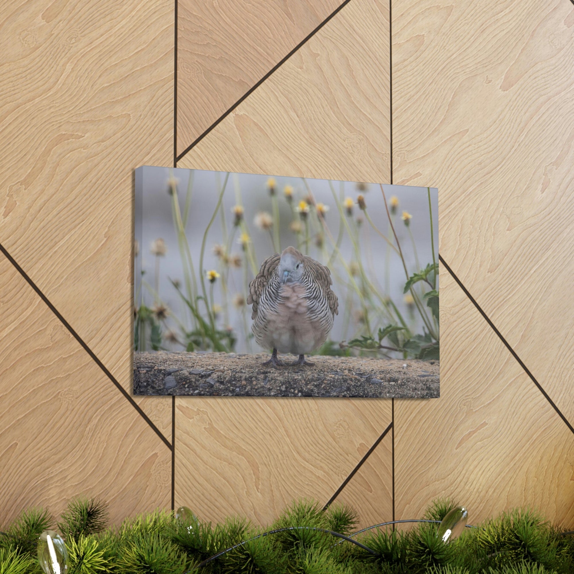 Funny Zebra Dove Silly Zebra Dove Scene Outside Wall Art Ready to Hang Unframed-Express Your Love Gifts