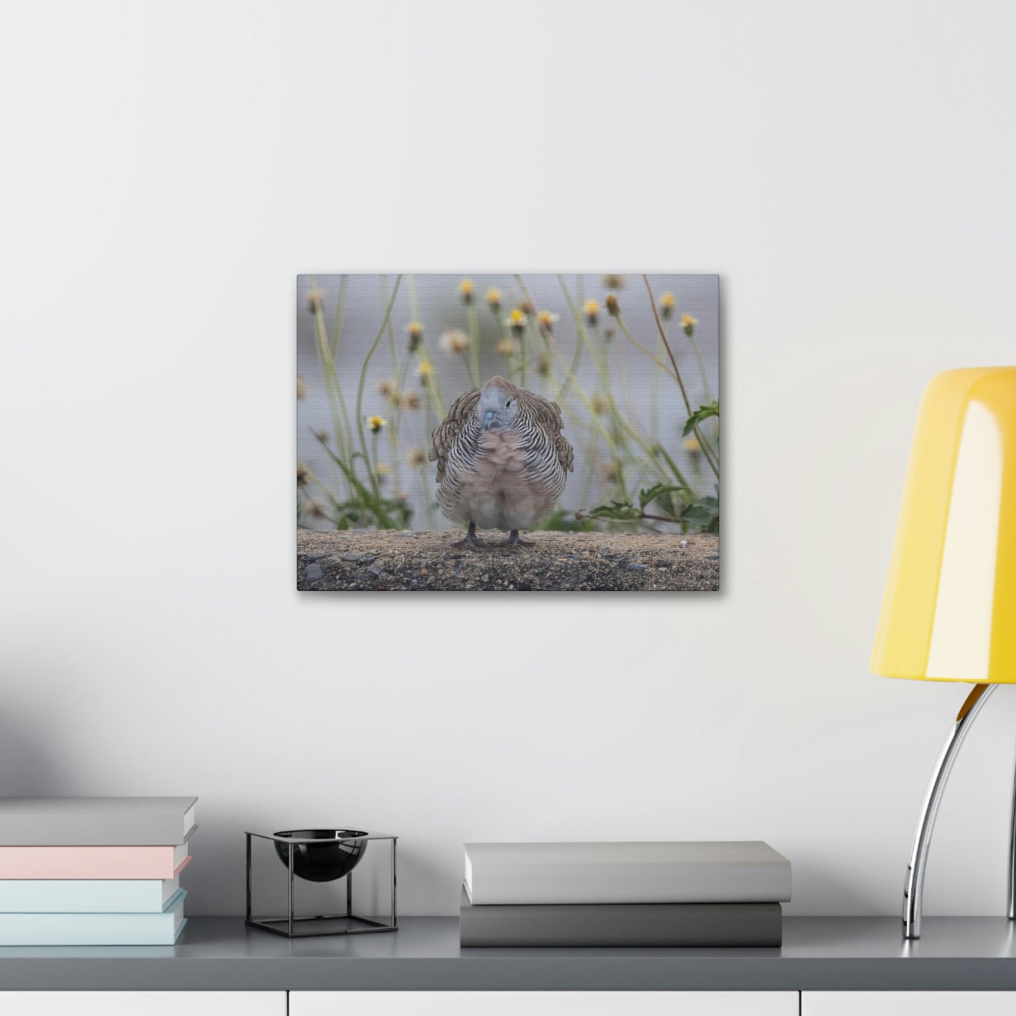 Funny Zebra Dove Silly Zebra Dove Scene Outside Wall Art Ready to Hang Unframed-Express Your Love Gifts