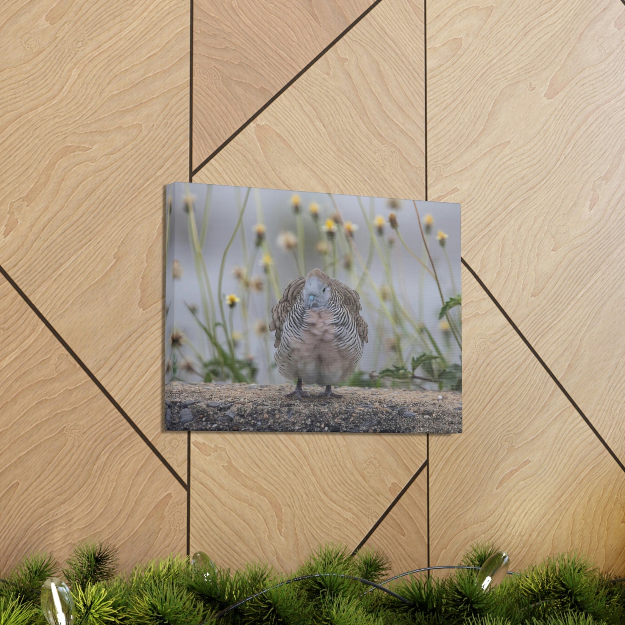 Funny Zebra Dove Silly Zebra Dove Scene Outside Wall Art Ready to Hang Unframed-Express Your Love Gifts