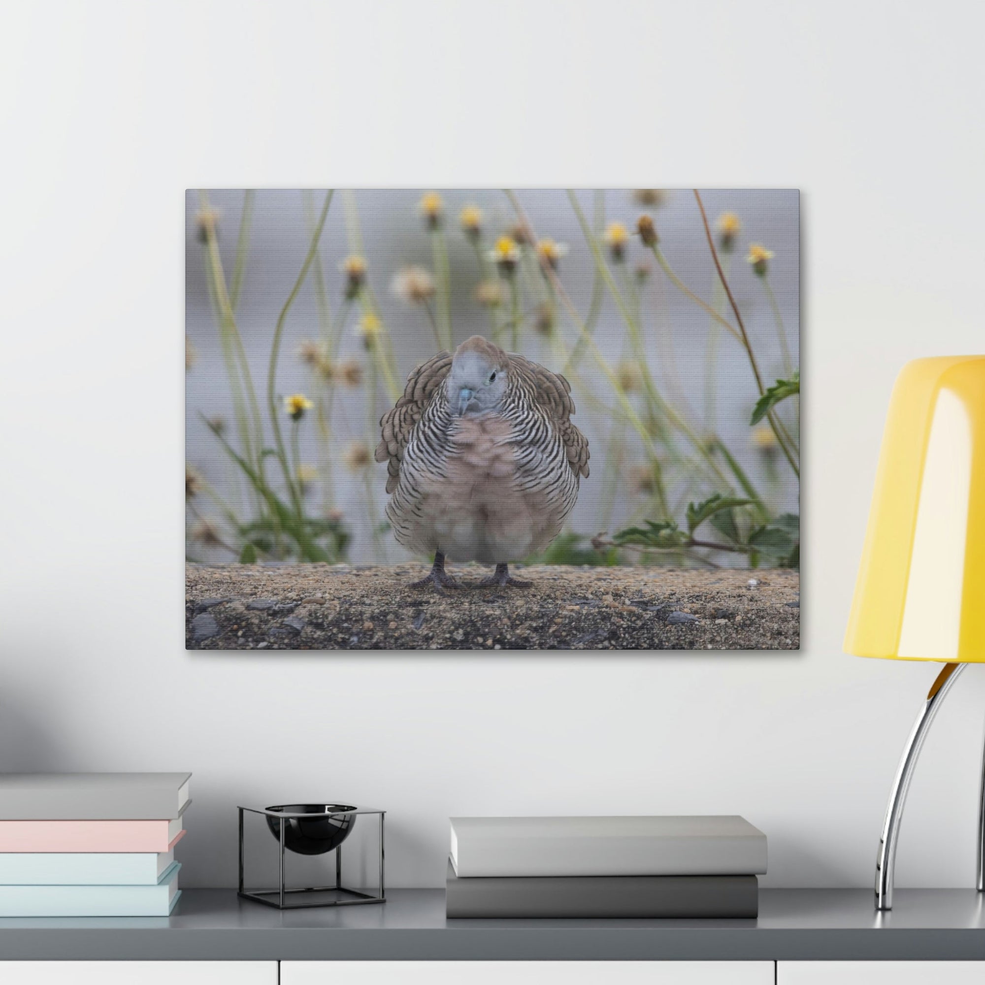 Funny Zebra Dove Silly Zebra Dove Scene Outside Wall Art Ready to Hang Unframed-Express Your Love Gifts