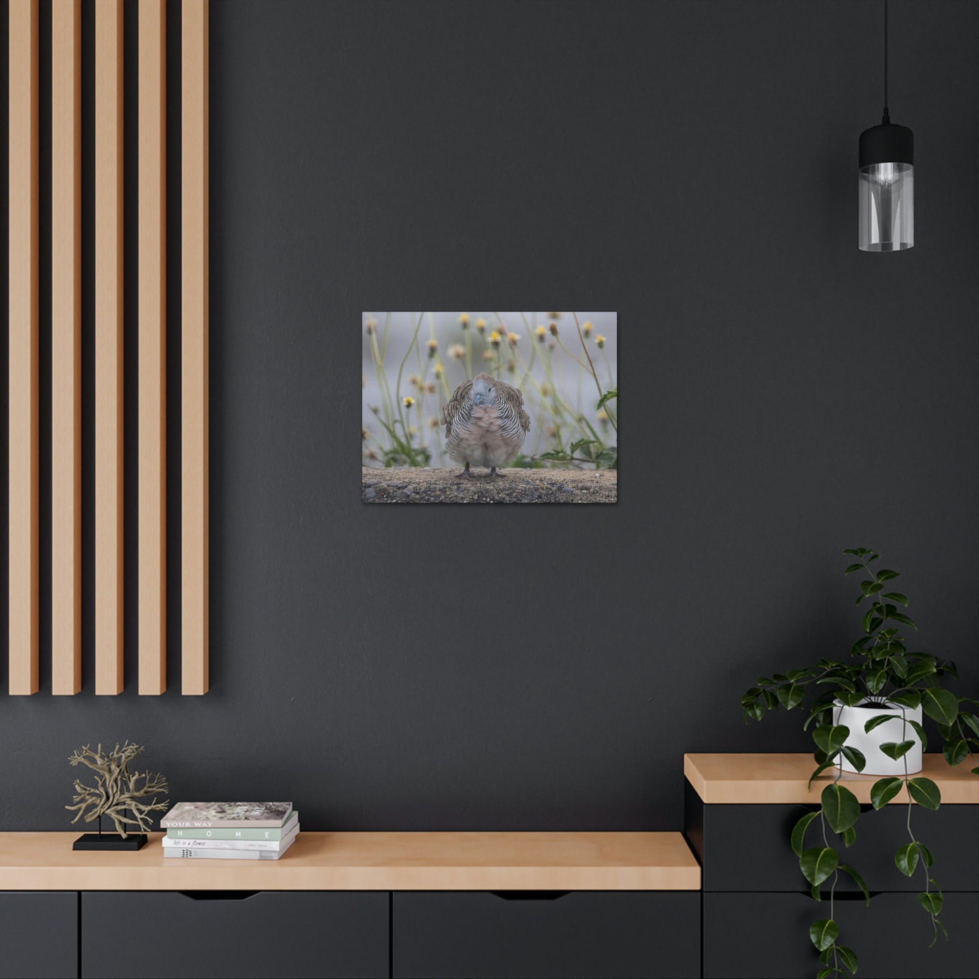 Funny Zebra Dove Silly Zebra Dove Scene Outside Wall Art Ready to Hang Unframed-Express Your Love Gifts