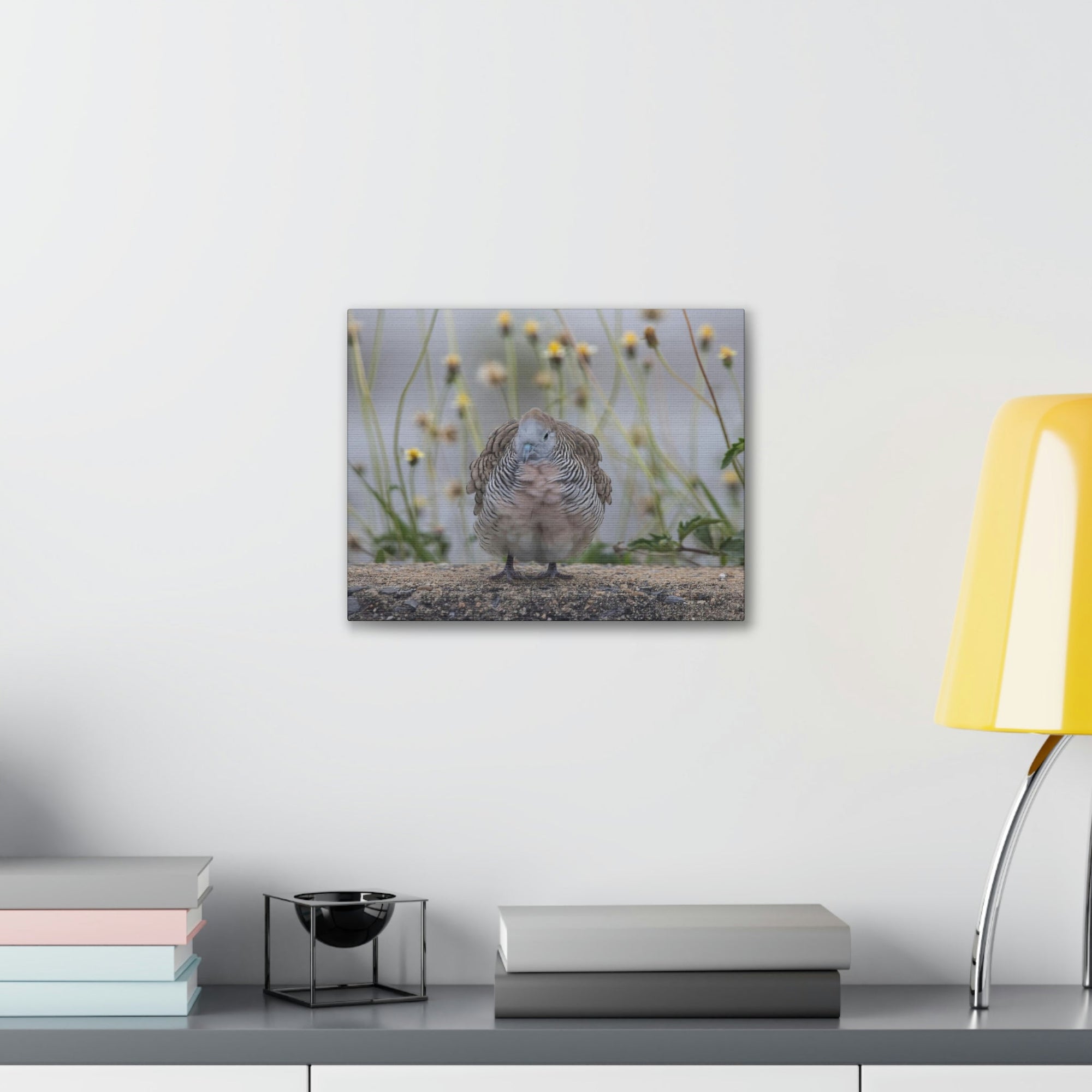 Funny Zebra Dove Silly Zebra Dove Scene Outside Wall Art Ready to Hang Unframed-Express Your Love Gifts