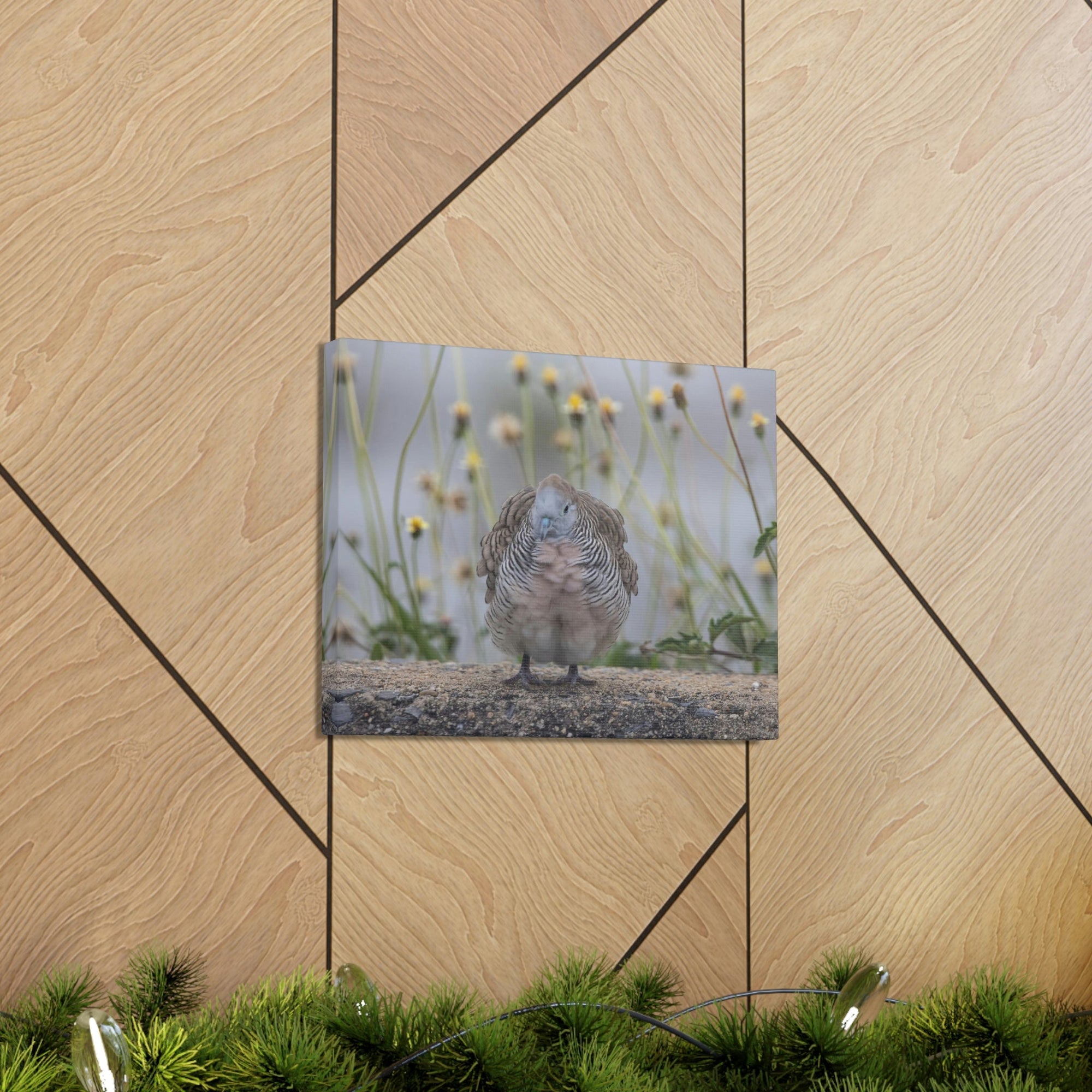 Funny Zebra Dove Silly Zebra Dove Scene Outside Wall Art Ready to Hang Unframed-Express Your Love Gifts