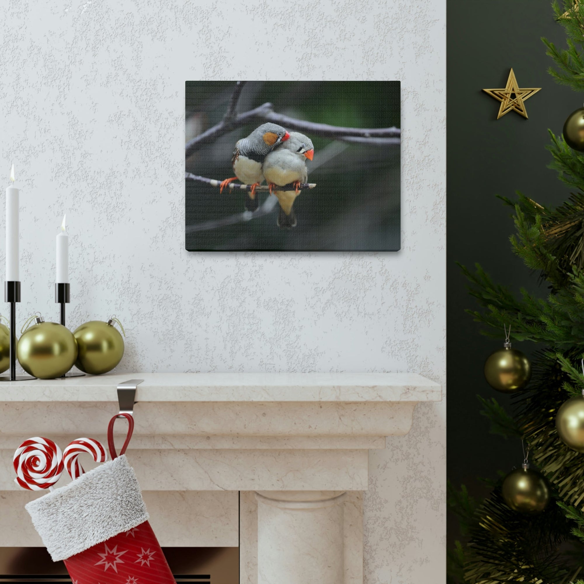 Funny Zebra Finch Silly Zebra Finch Scene Couple Wall Art Ready to Hang Unframed-Express Your Love Gifts