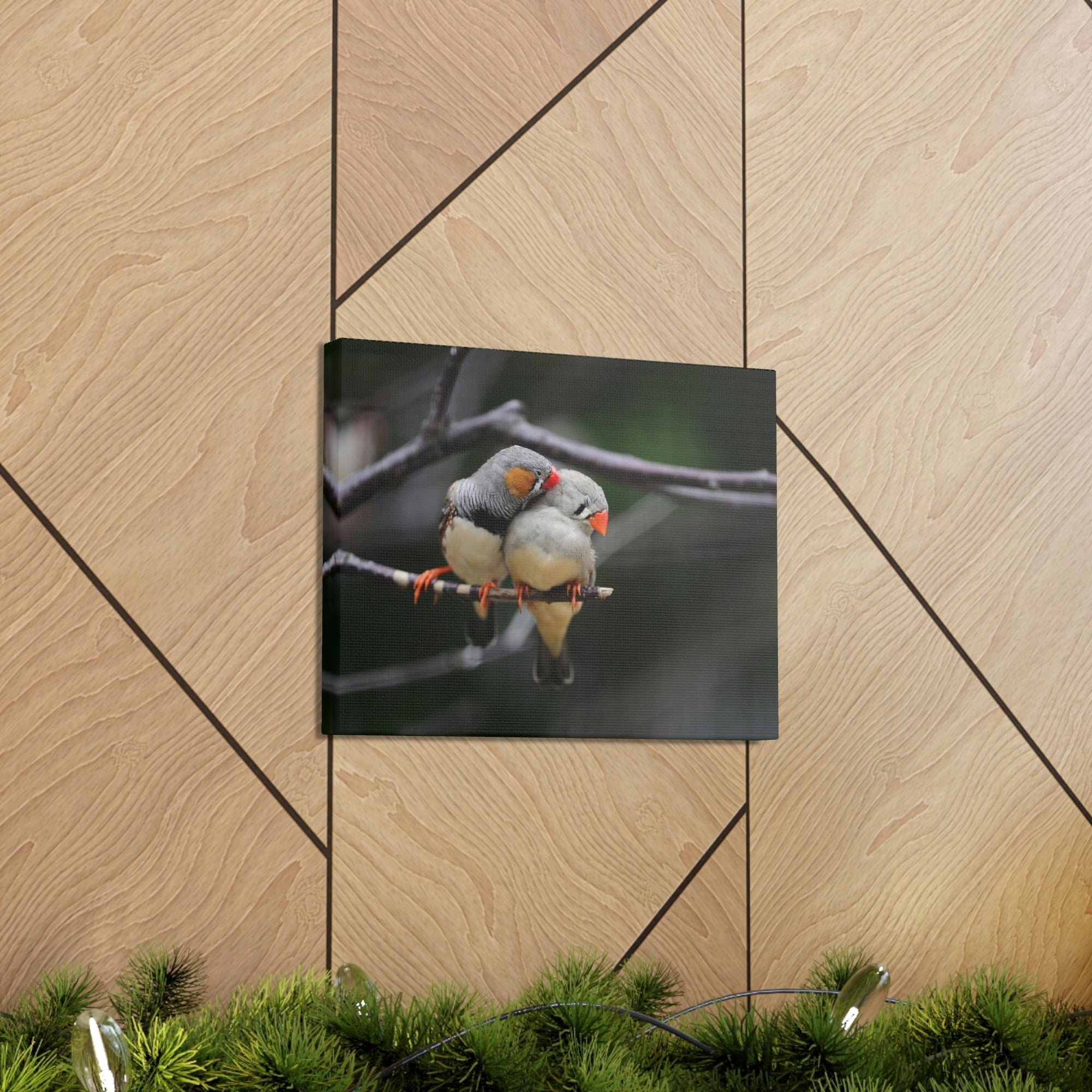 Funny Zebra Finch Silly Zebra Finch Scene Couple Wall Art Ready to Hang Unframed-Express Your Love Gifts