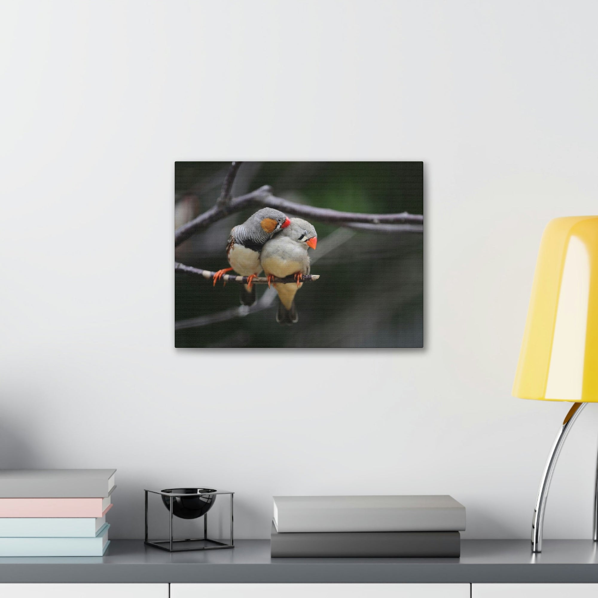 Funny Zebra Finch Silly Zebra Finch Scene Couple Wall Art Ready to Hang Unframed-Express Your Love Gifts