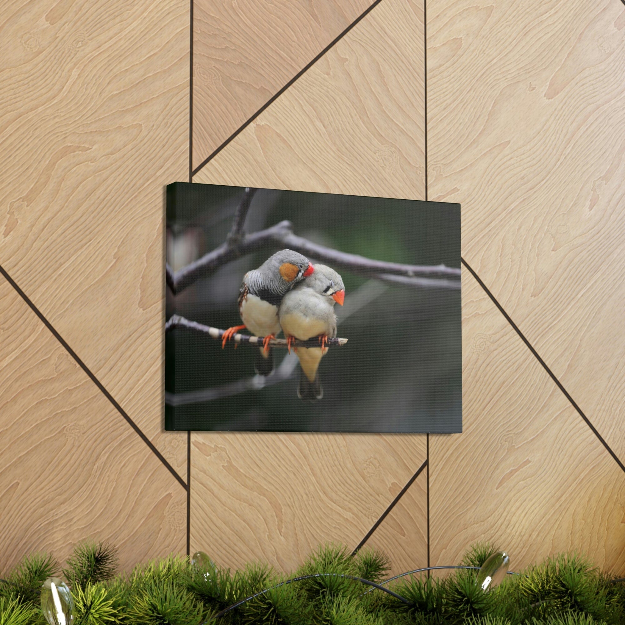 Funny Zebra Finch Silly Zebra Finch Scene Couple Wall Art Ready to Hang Unframed-Express Your Love Gifts