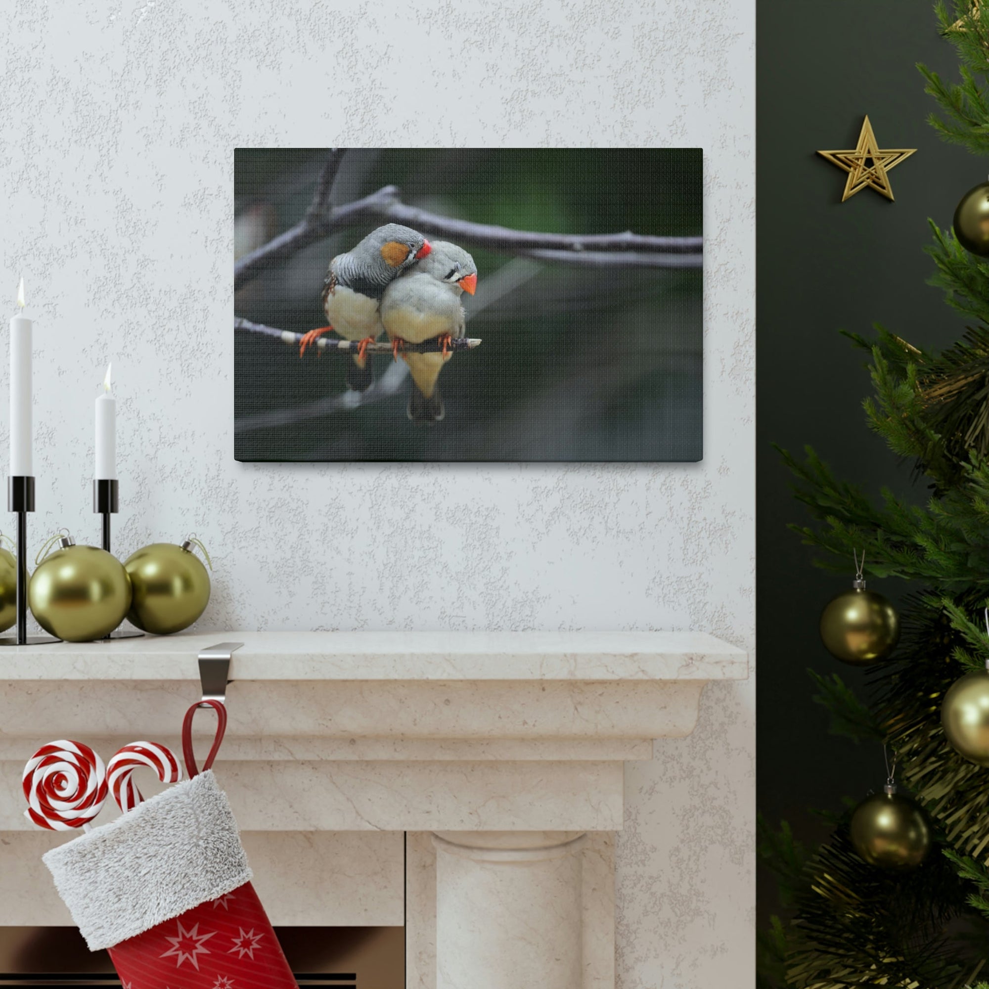 Funny Zebra Finch Silly Zebra Finch Scene Couple Wall Art Ready to Hang Unframed-Express Your Love Gifts