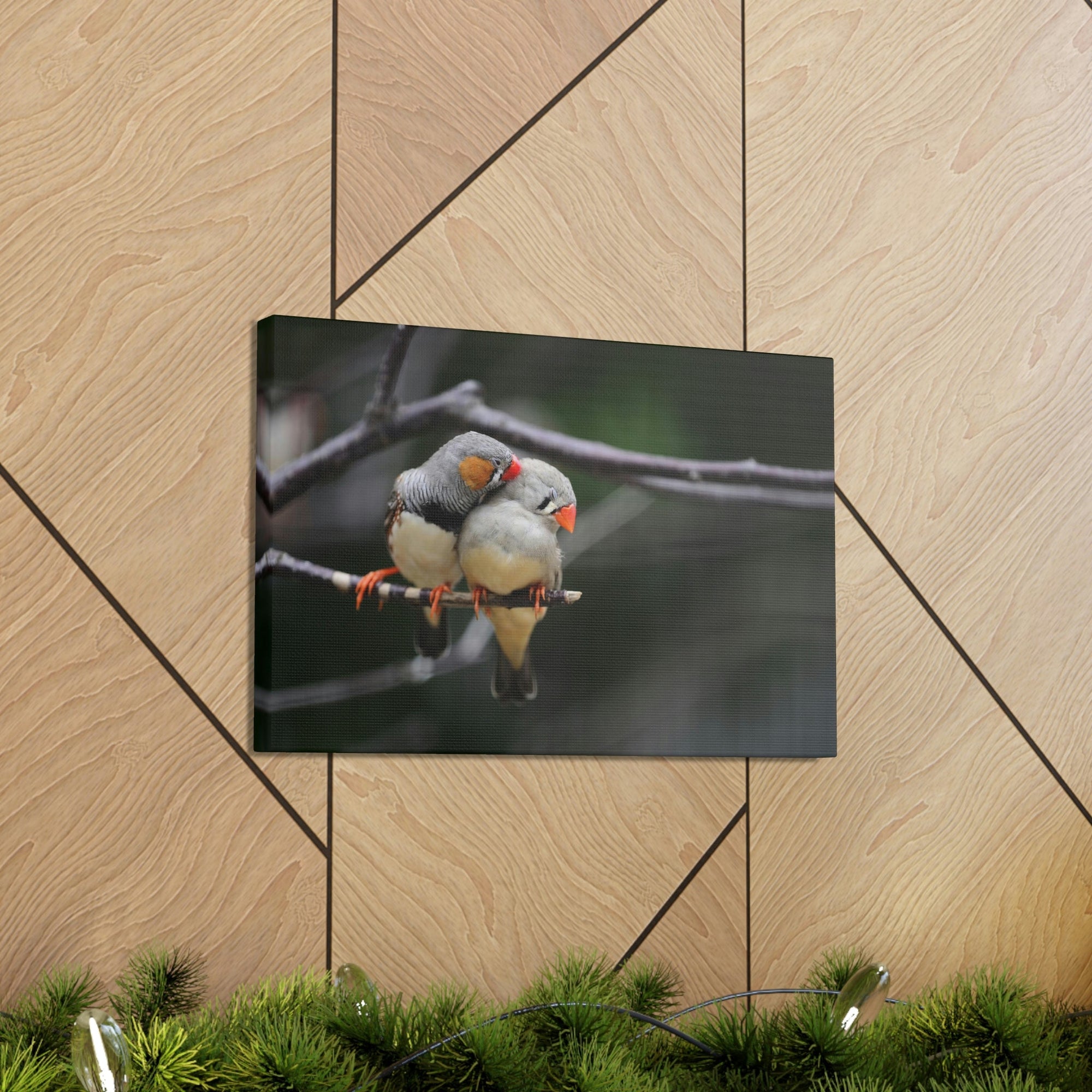 Funny Zebra Finch Silly Zebra Finch Scene Couple Wall Art Ready to Hang Unframed-Express Your Love Gifts