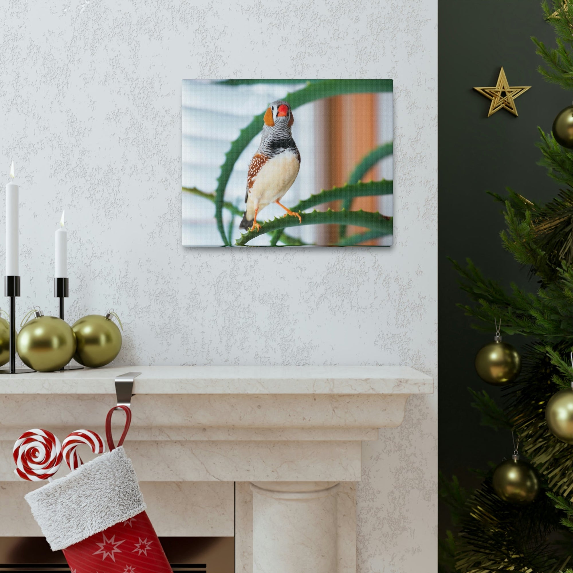 Funny Zebra Finch Silly Zebra Finch Scene Inside Wall Art Ready to Hang Unframed-Express Your Love Gifts