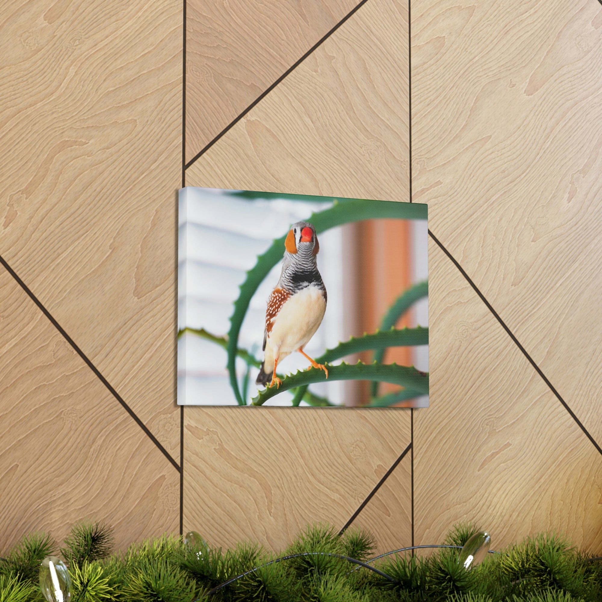 Funny Zebra Finch Silly Zebra Finch Scene Inside Wall Art Ready to Hang Unframed-Express Your Love Gifts