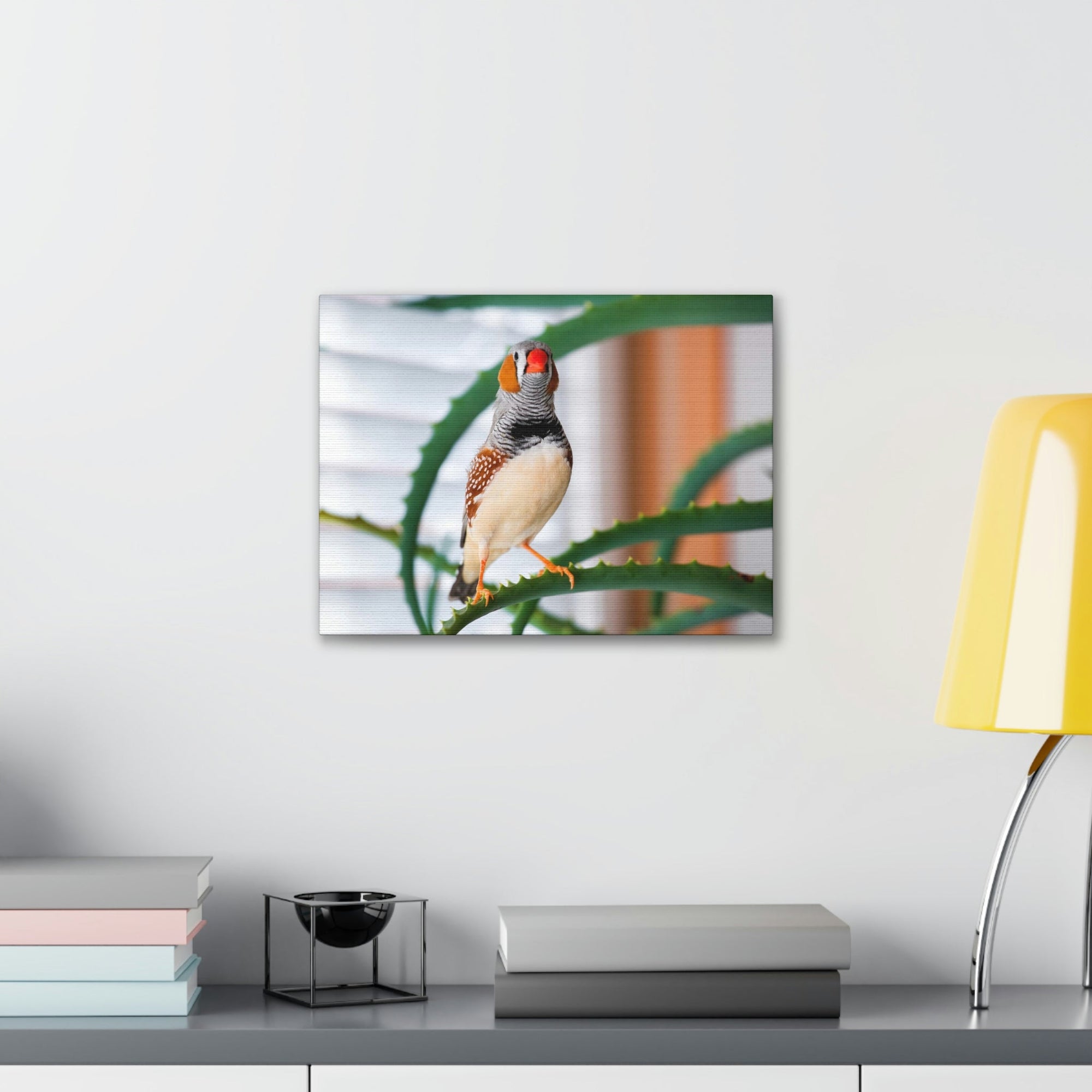 Funny Zebra Finch Silly Zebra Finch Scene Inside Wall Art Ready to Hang Unframed-Express Your Love Gifts