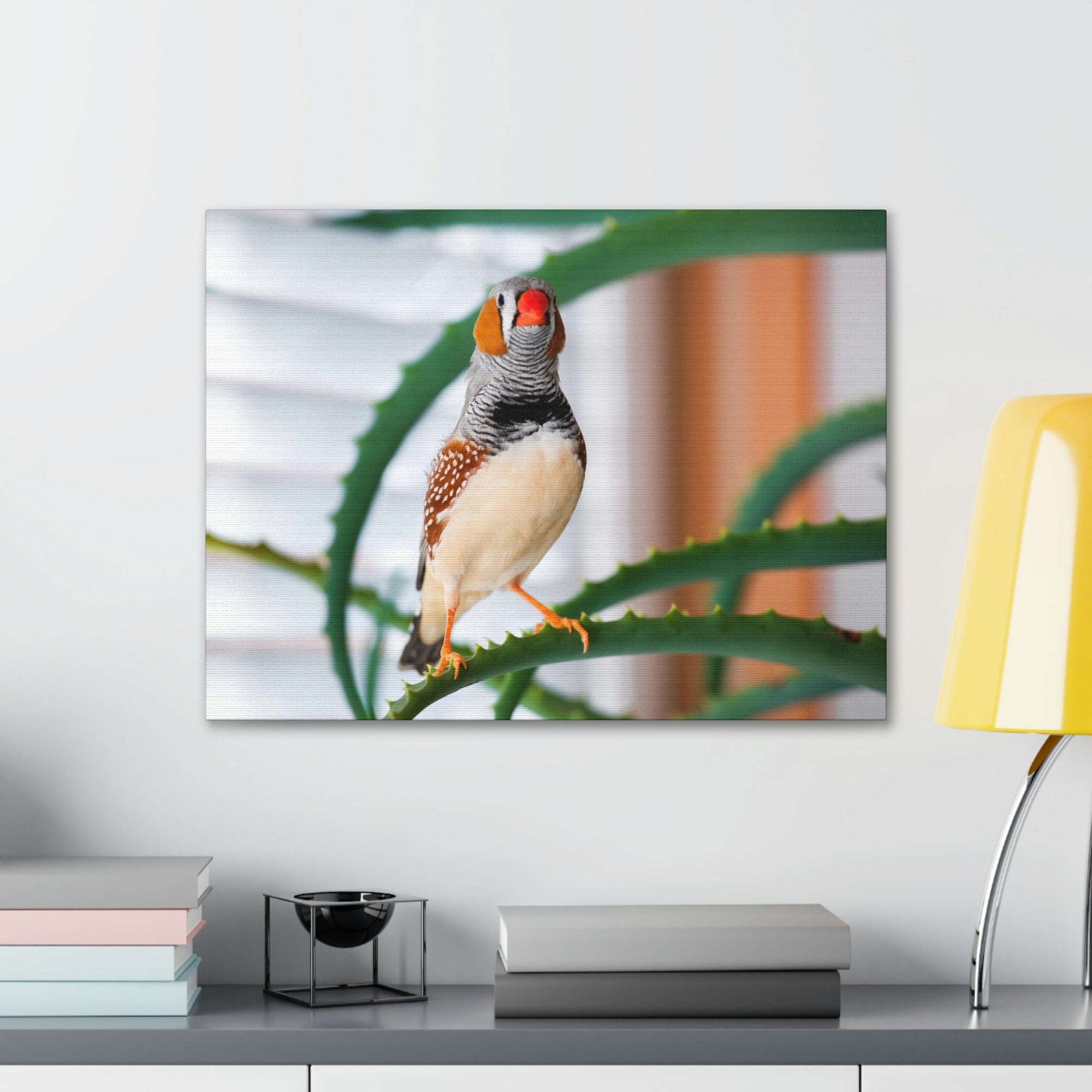 Funny Zebra Finch Silly Zebra Finch Scene Inside Wall Art Ready to Hang Unframed-Express Your Love Gifts