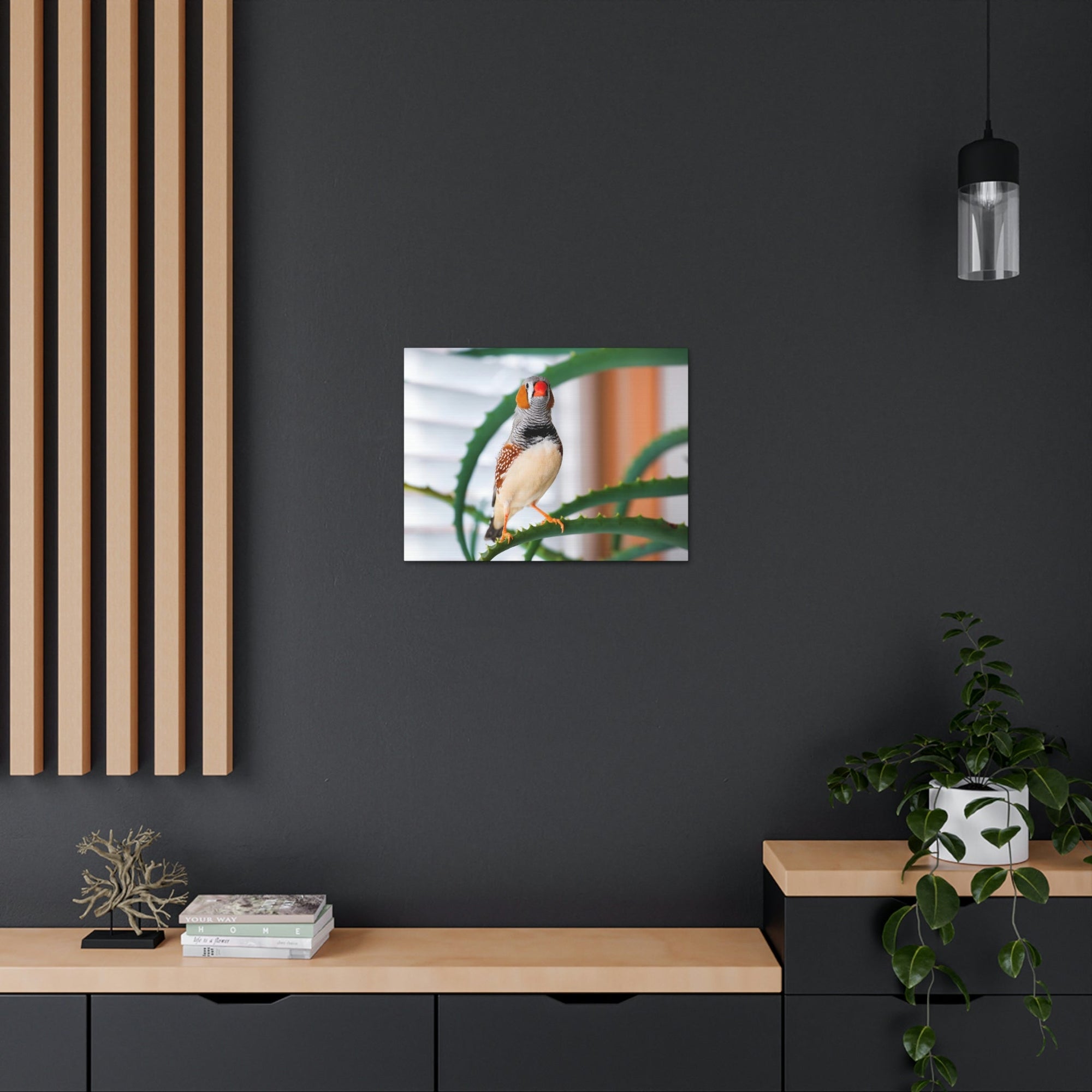 Funny Zebra Finch Silly Zebra Finch Scene Inside Wall Art Ready to Hang Unframed-Express Your Love Gifts