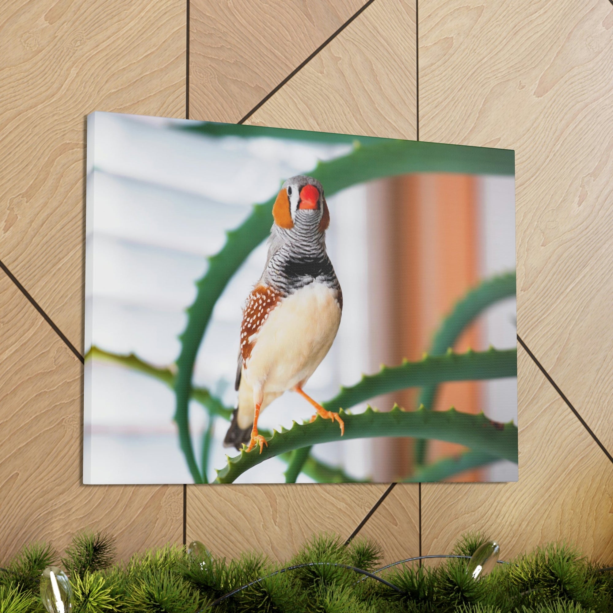 Funny Zebra Finch Silly Zebra Finch Scene Inside Wall Art Ready to Hang Unframed-Express Your Love Gifts