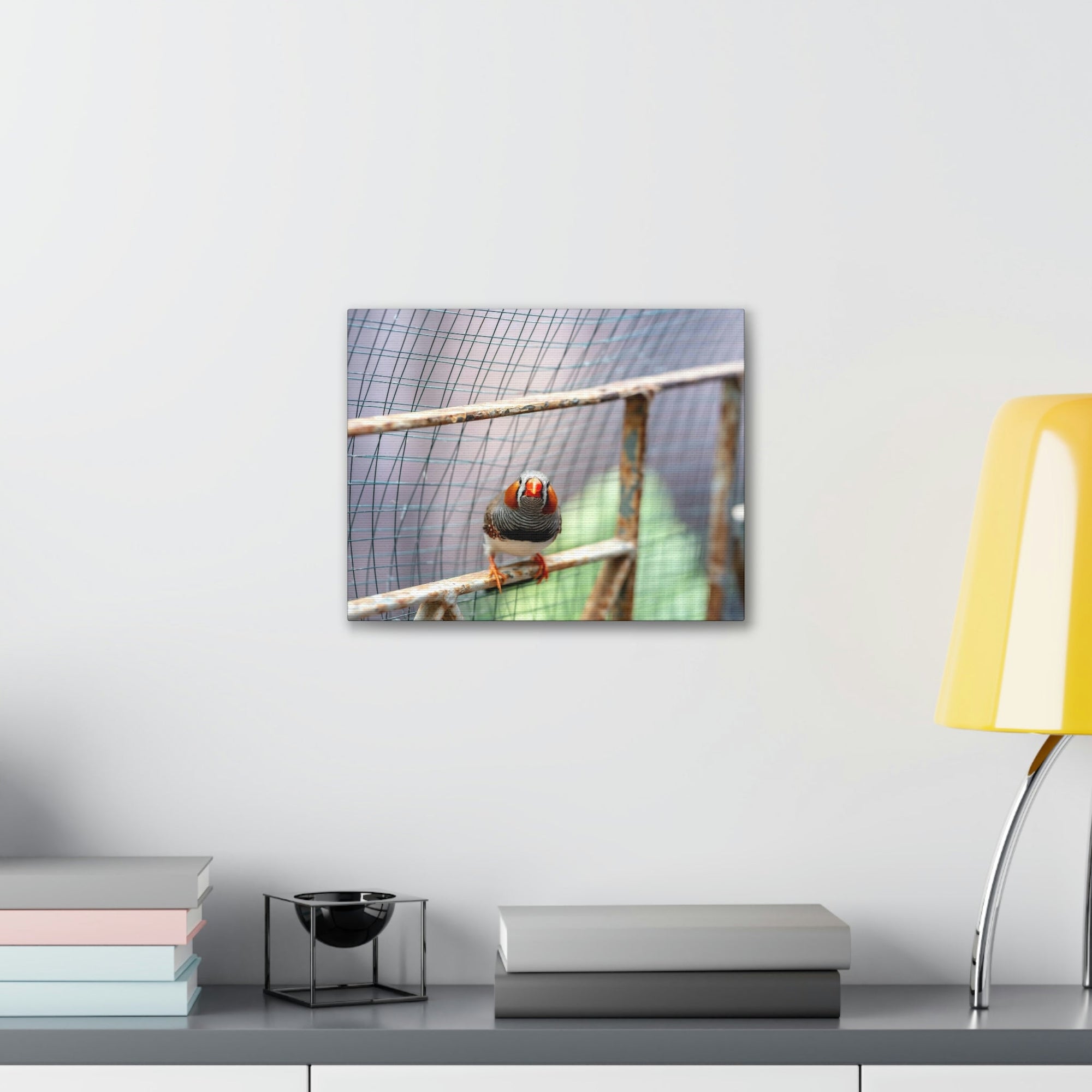 Funny Zebra Finch Silly Zebra Finch Scene Outside Wall Art Ready to Hang Unframed-Express Your Love Gifts