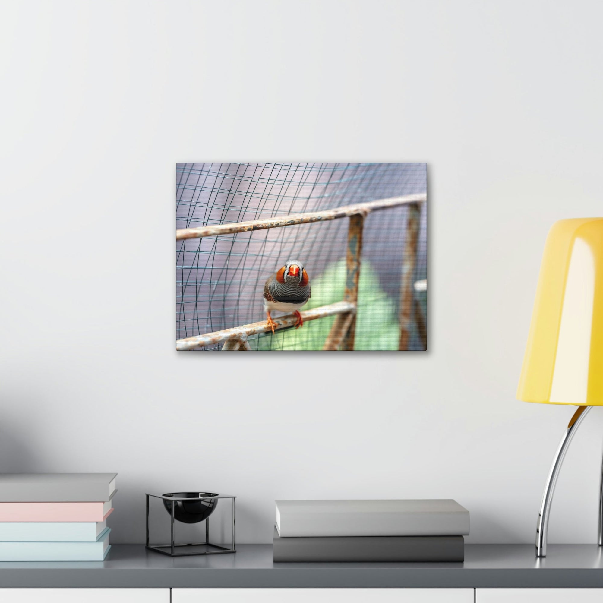 Funny Zebra Finch Silly Zebra Finch Scene Outside Wall Art Ready to Hang Unframed-Express Your Love Gifts