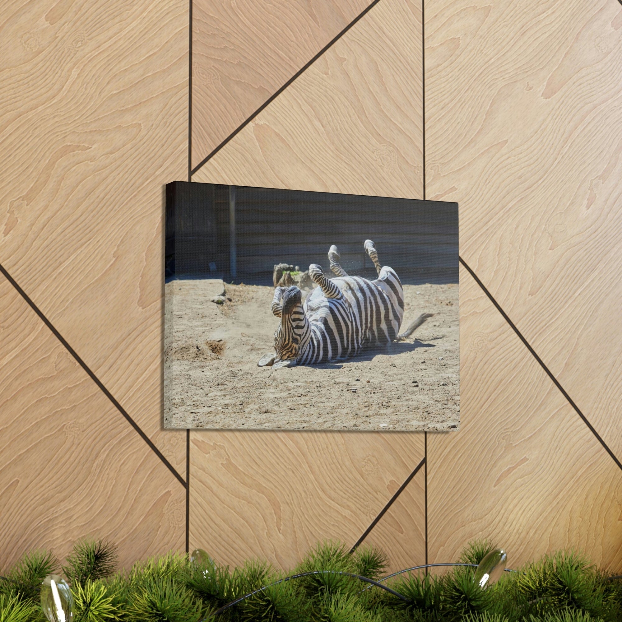 Funny Zebra Silly Zebra Inside Wall Art Ready to Hang Unframed-Express Your Love Gifts