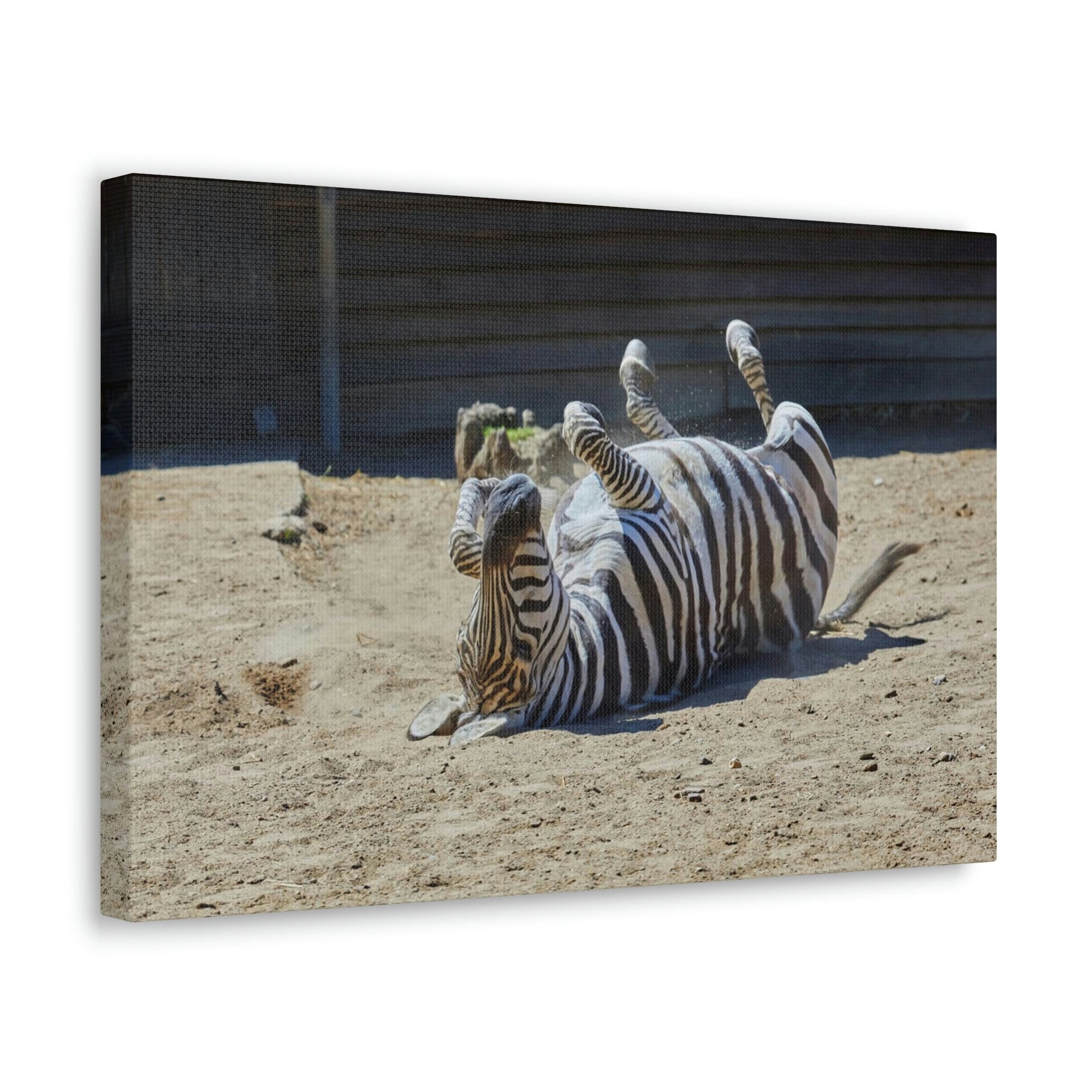 Funny Zebra Silly Zebra Inside Wall Art Ready to Hang Unframed-Express Your Love Gifts