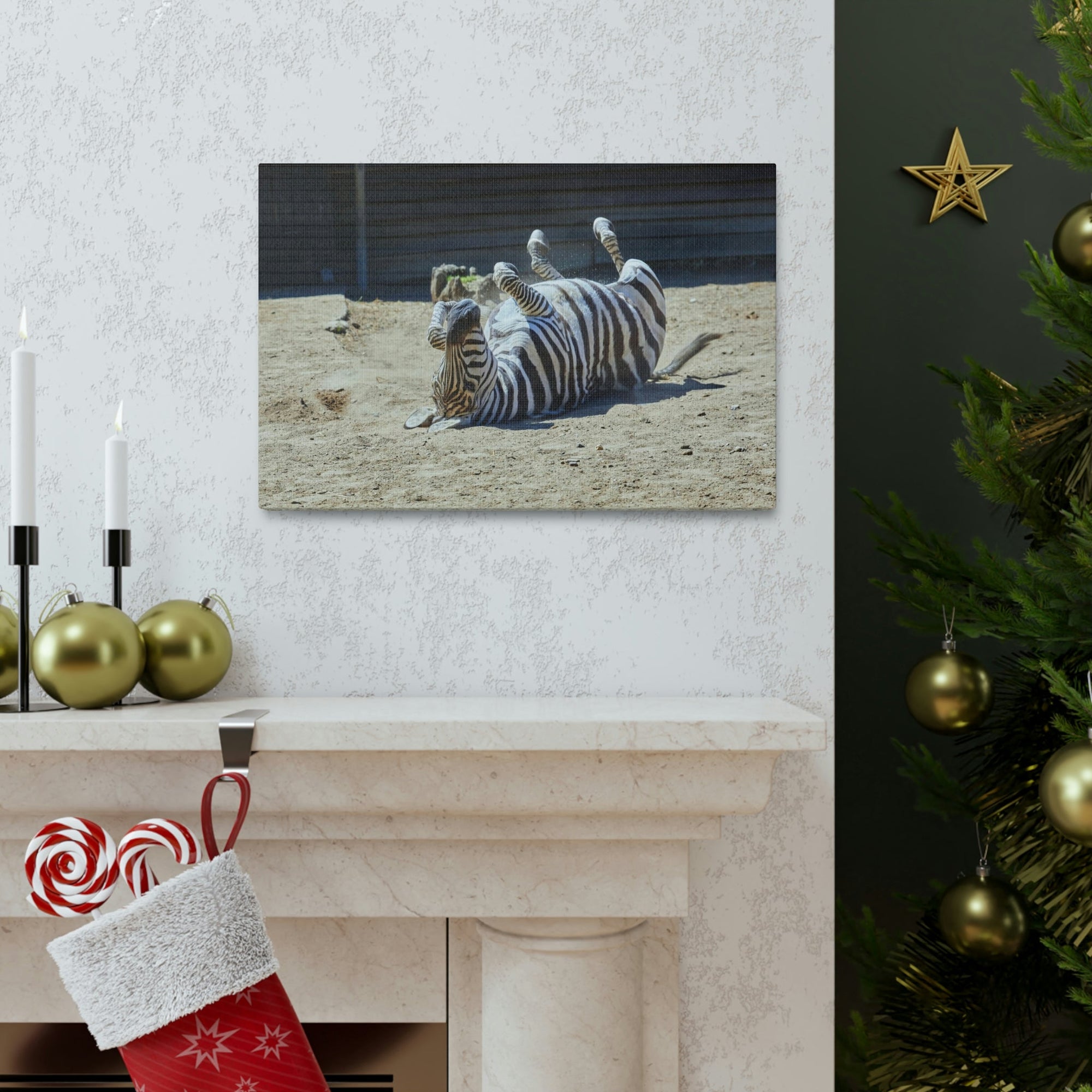 Funny Zebra Silly Zebra Inside Wall Art Ready to Hang Unframed-Express Your Love Gifts