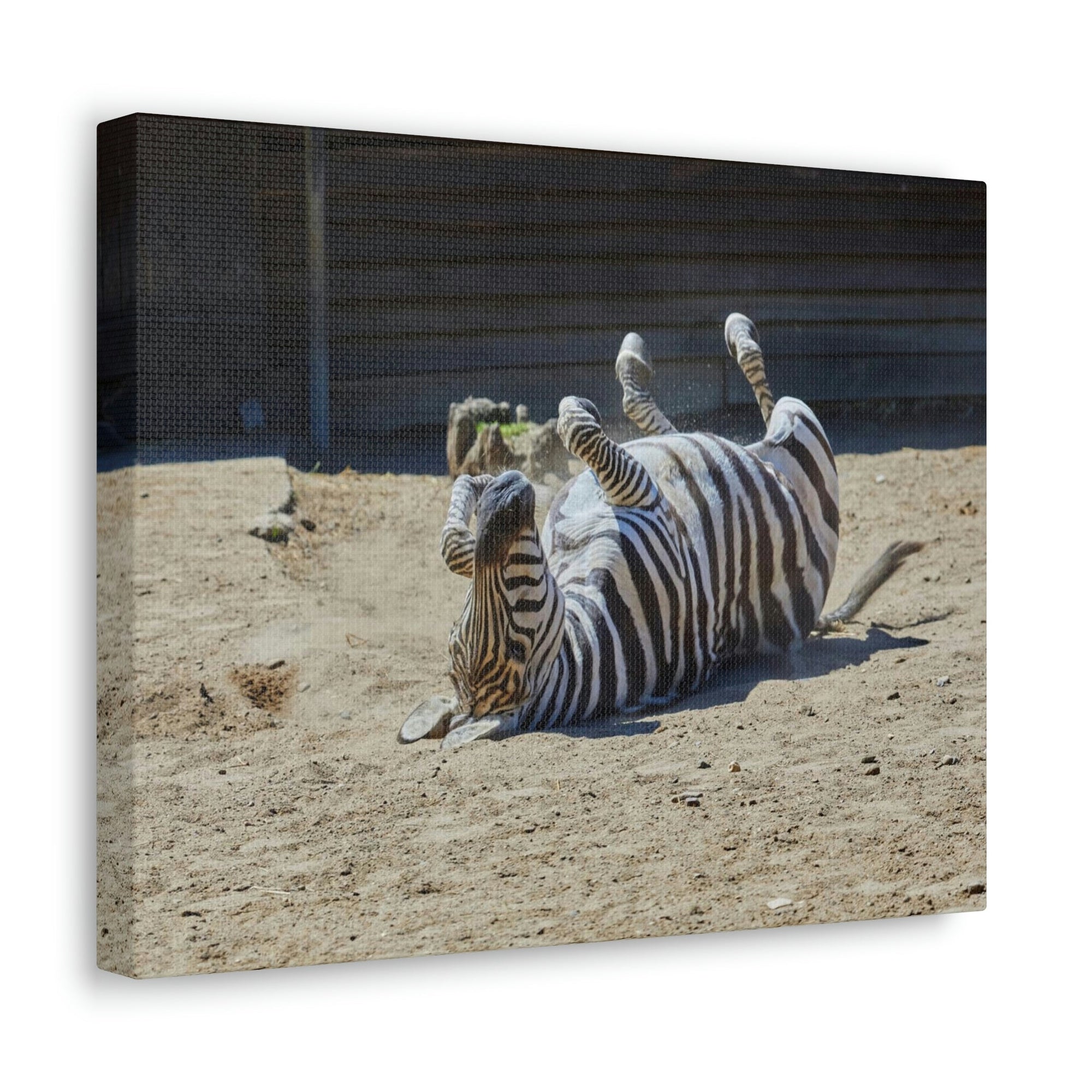 Funny Zebra Silly Zebra Inside Wall Art Ready to Hang Unframed-Express Your Love Gifts