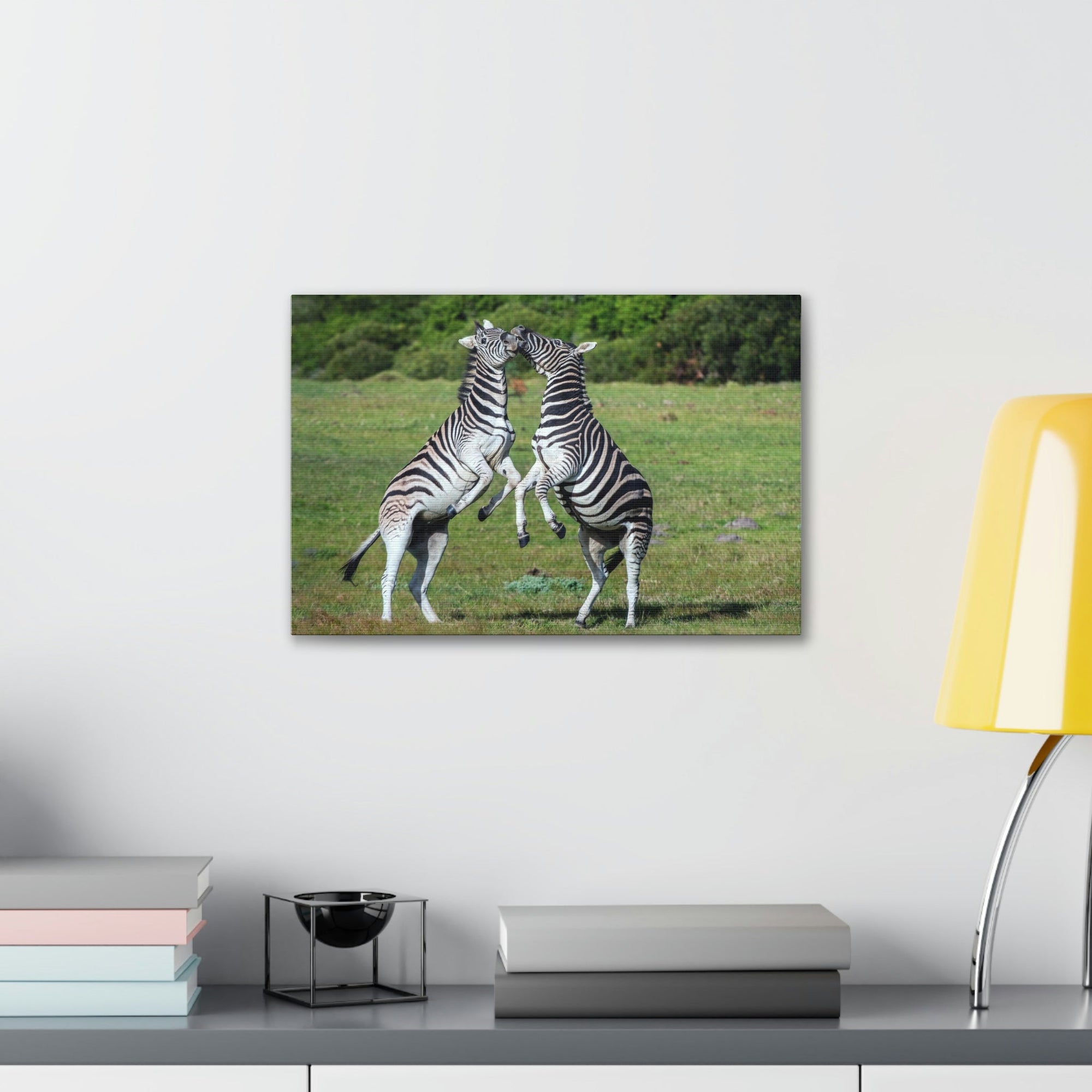 Funny Zebra Silly Zebra Scene Couple Wall Art Ready to Hang Unframed-Express Your Love Gifts