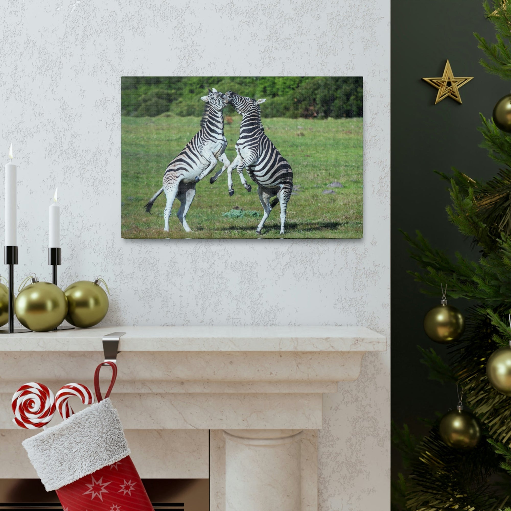 Funny Zebra Silly Zebra Scene Couple Wall Art Ready to Hang Unframed-Express Your Love Gifts