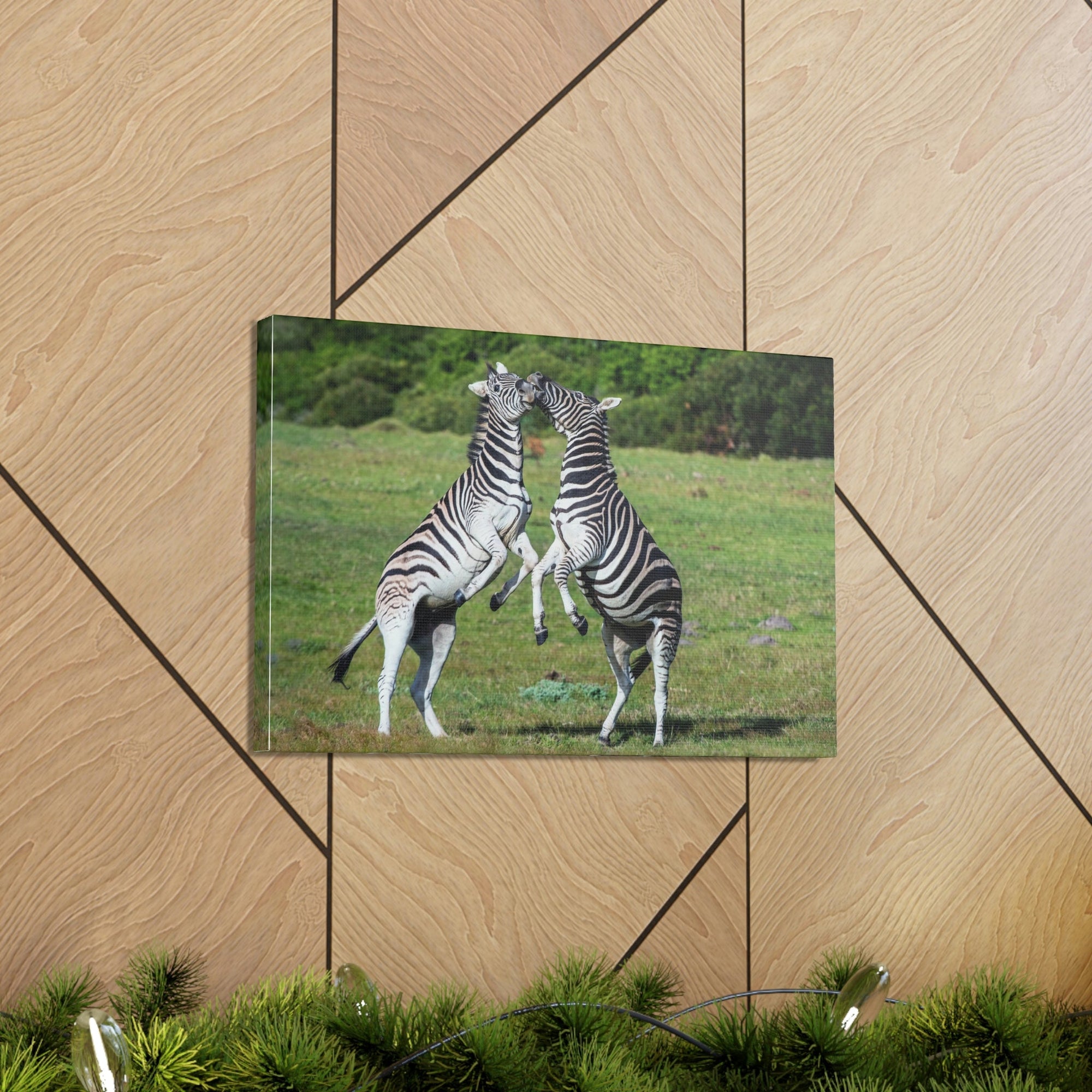 Funny Zebra Silly Zebra Scene Couple Wall Art Ready to Hang Unframed-Express Your Love Gifts