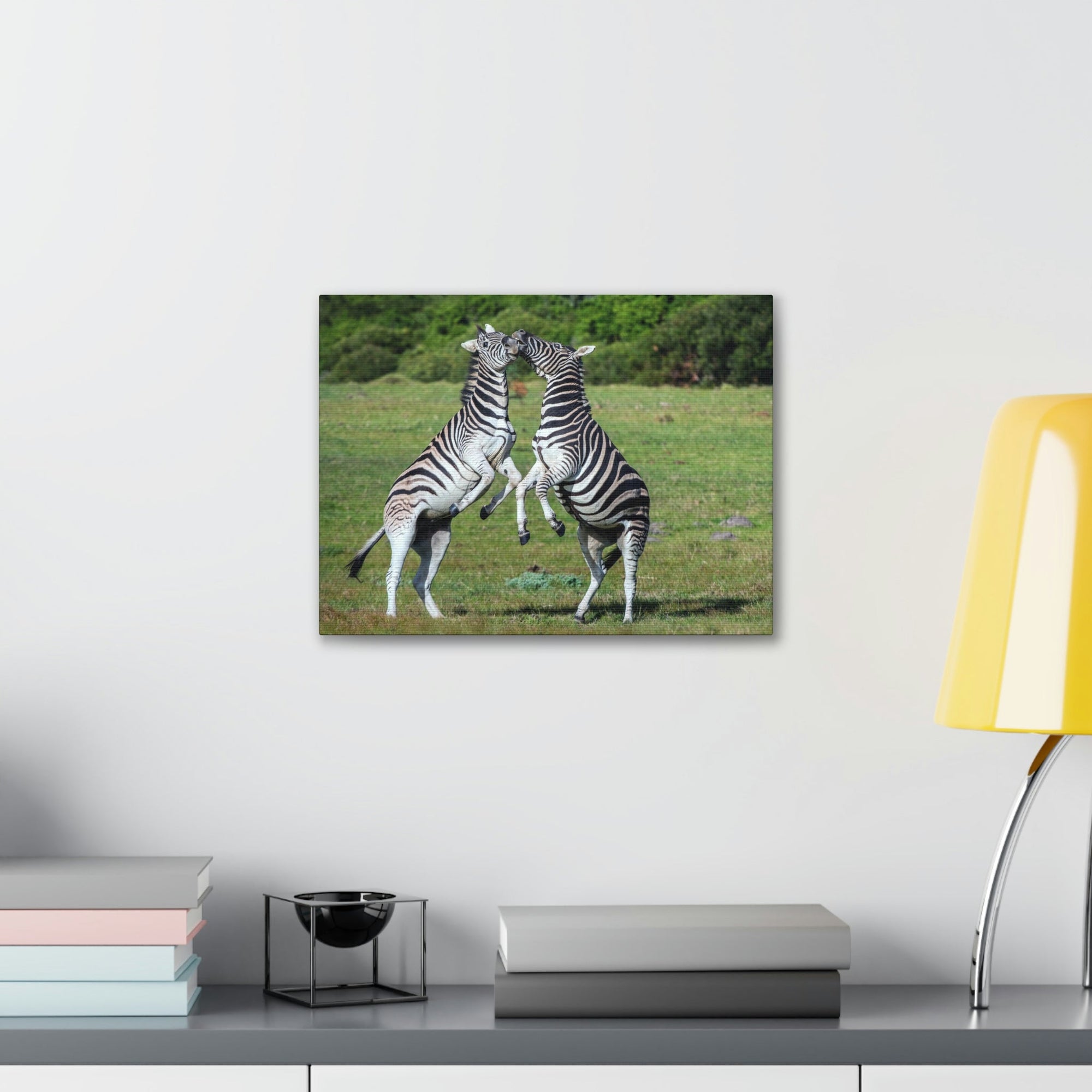 Funny Zebra Silly Zebra Scene Couple Wall Art Ready to Hang Unframed-Express Your Love Gifts