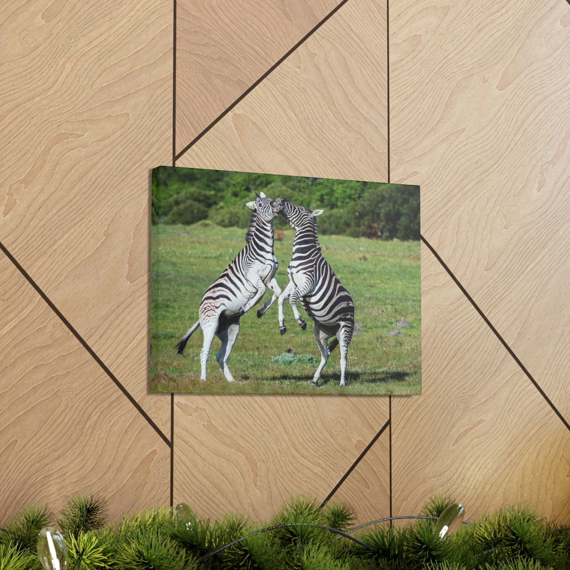 Funny Zebra Silly Zebra Scene Couple Wall Art Ready to Hang Unframed-Express Your Love Gifts