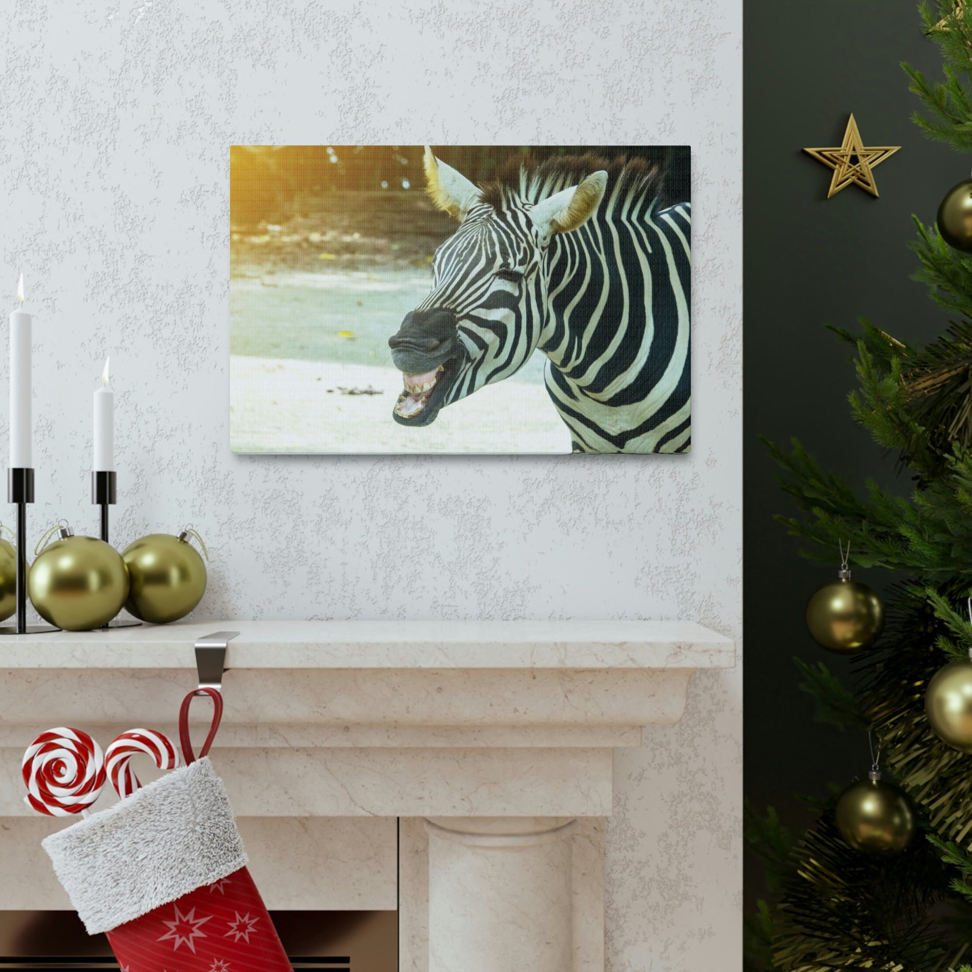 Funny Zebra Silly Zebra Scene Outside Wall Art Ready to Hang Unframed-Express Your Love Gifts