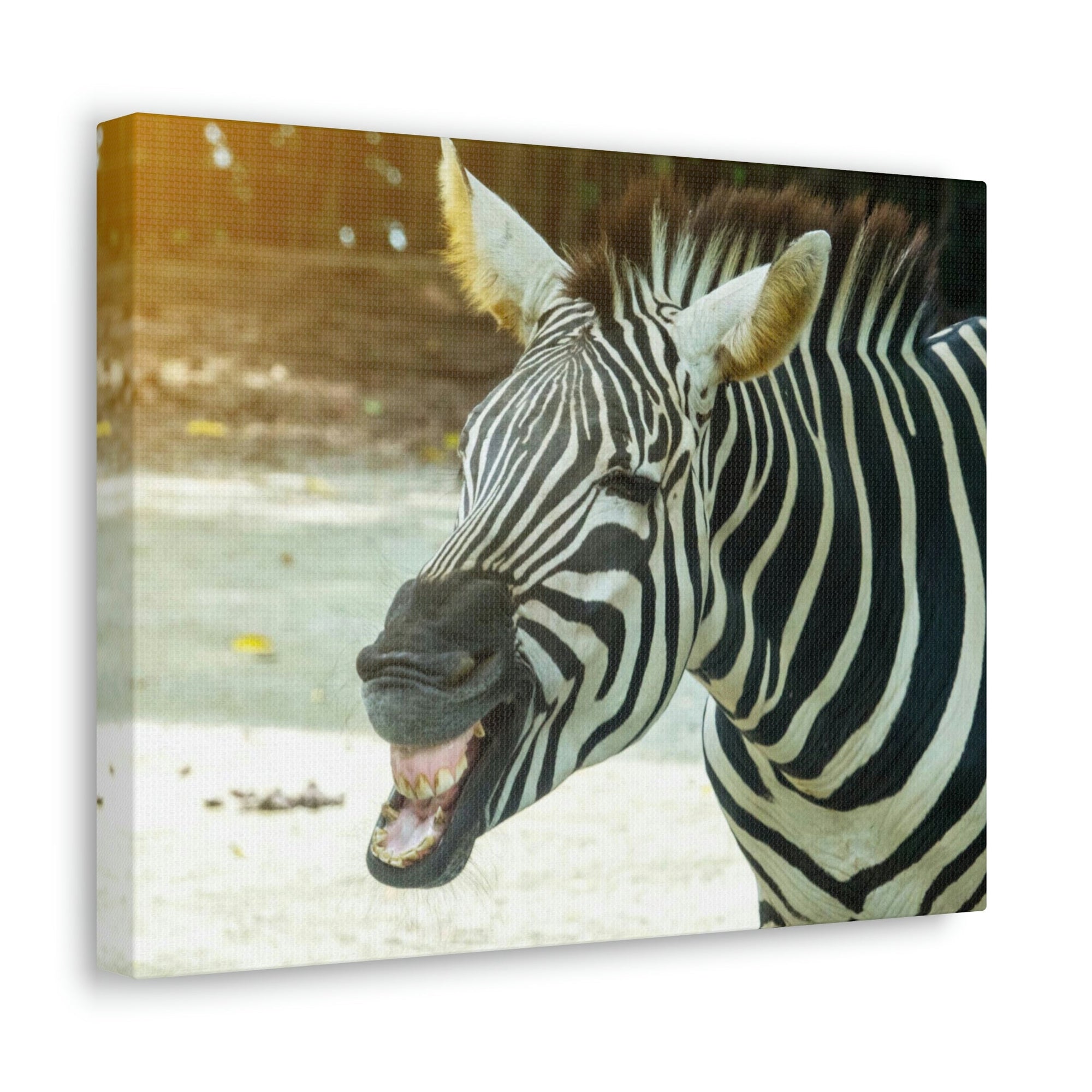 Funny Zebra Silly Zebra Scene Outside Wall Art Ready to Hang Unframed-Express Your Love Gifts