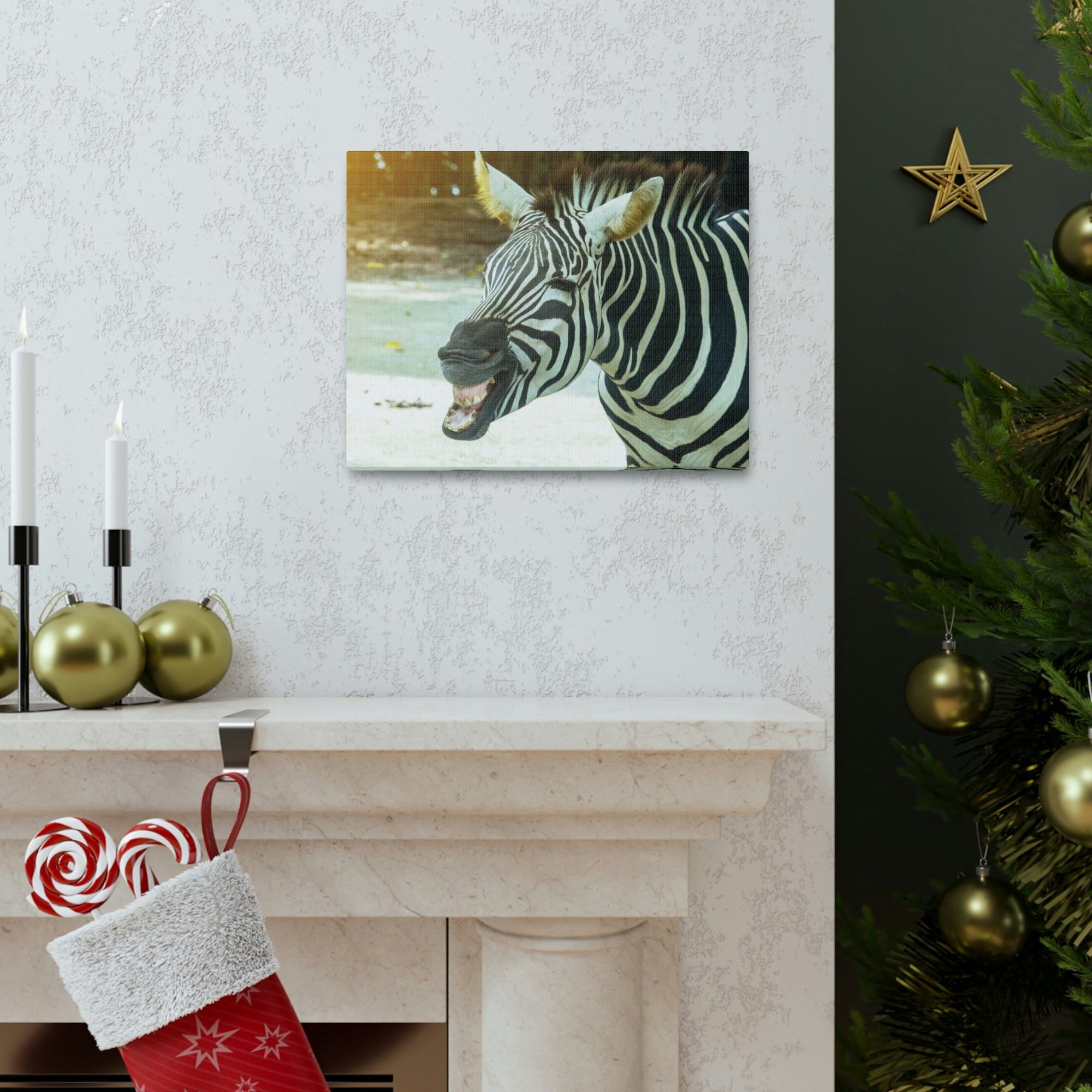 Funny Zebra Silly Zebra Scene Outside Wall Art Ready to Hang Unframed-Express Your Love Gifts