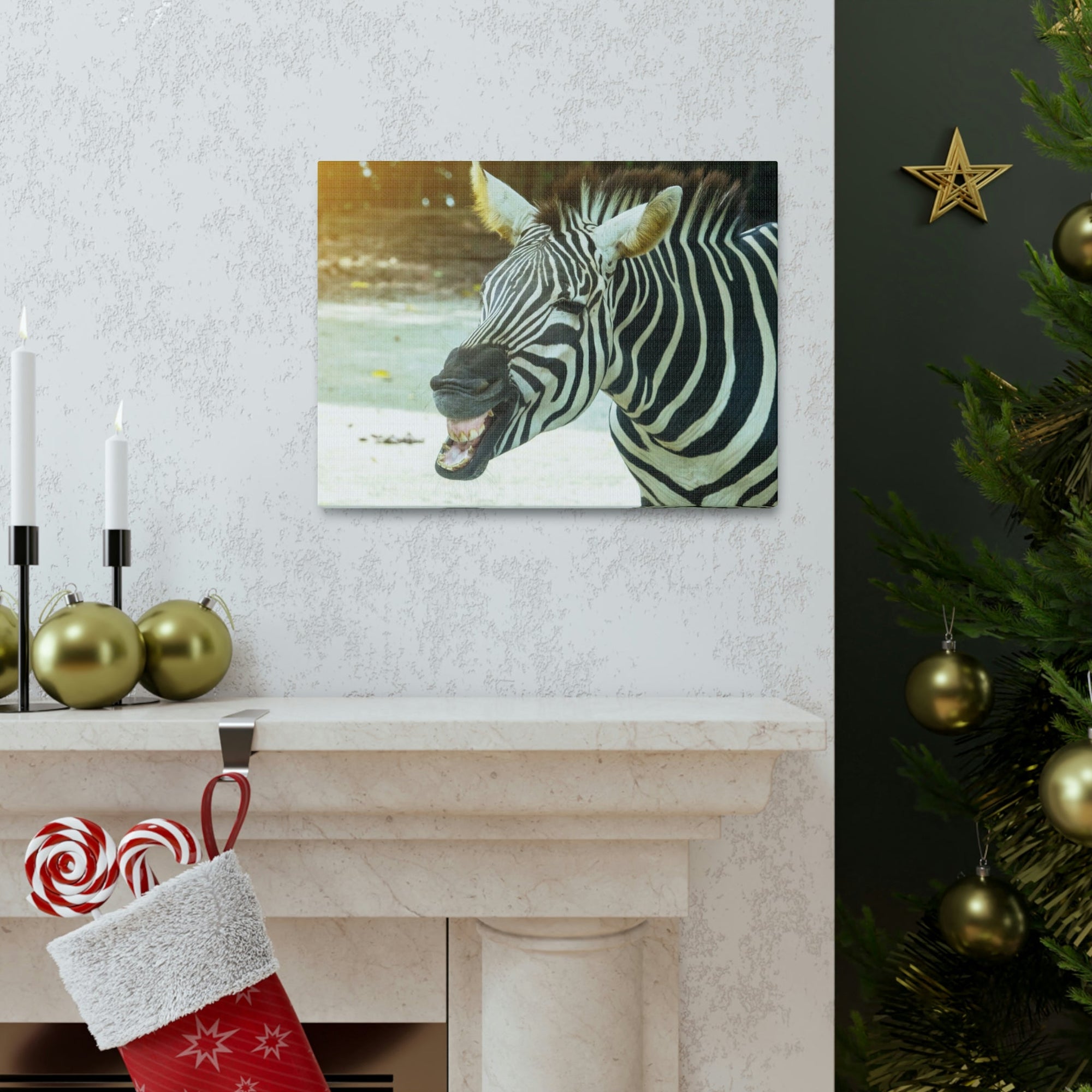 Funny Zebra Silly Zebra Scene Outside Wall Art Ready to Hang Unframed-Express Your Love Gifts