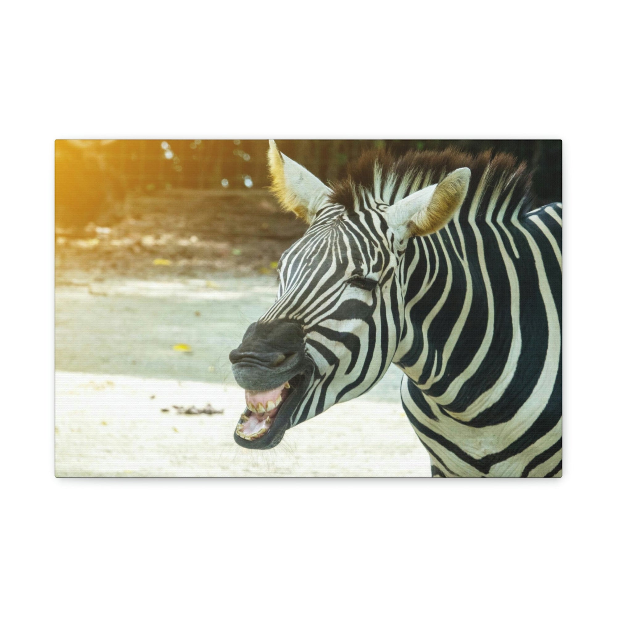 Funny Zebra Silly Zebra Scene Outside Wall Art Ready to Hang Unframed-Express Your Love Gifts