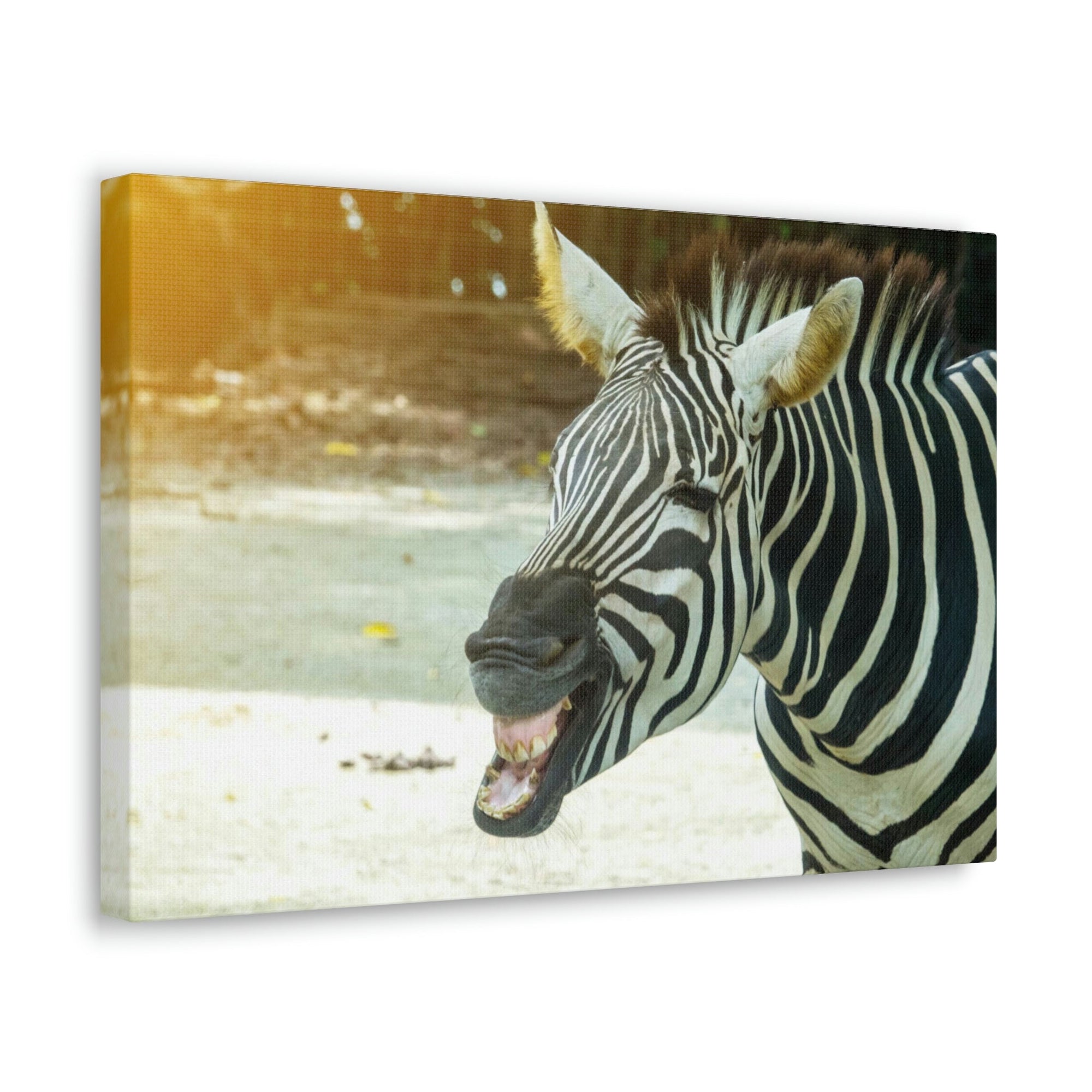 Funny Zebra Silly Zebra Scene Outside Wall Art Ready to Hang Unframed-Express Your Love Gifts