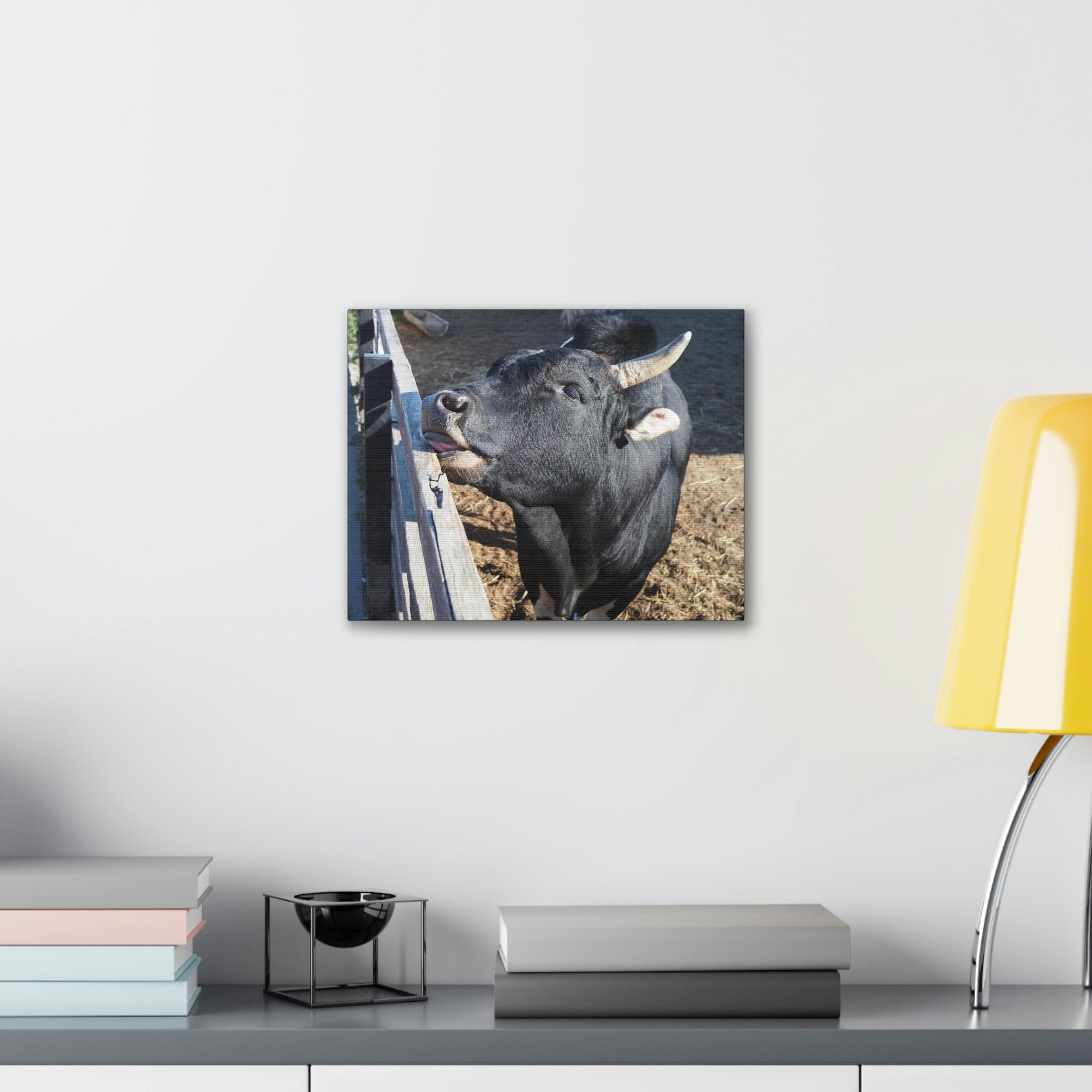 Funny Zebu Silly Zebu Outside Wall Art Ready to Hang Unframed-Express Your Love Gifts