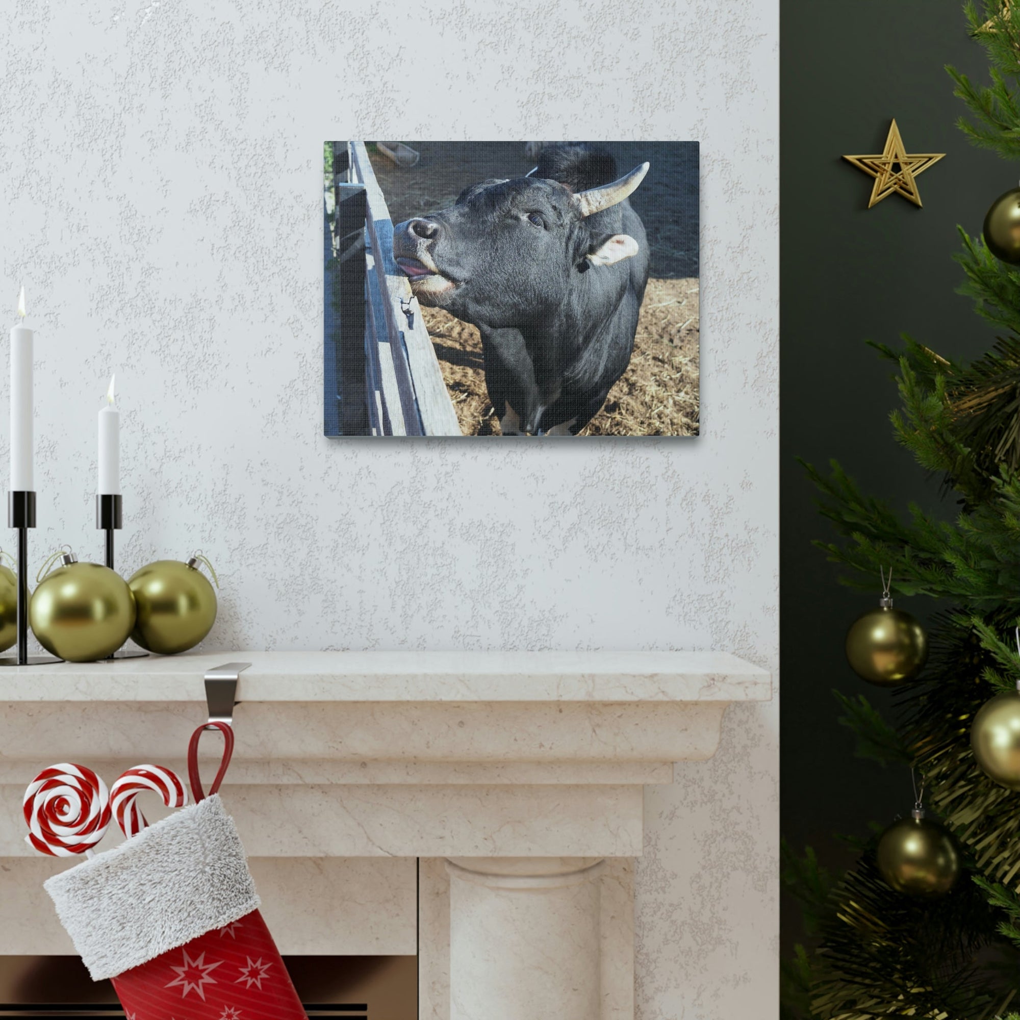 Funny Zebu Silly Zebu Outside Wall Art Ready to Hang Unframed-Express Your Love Gifts