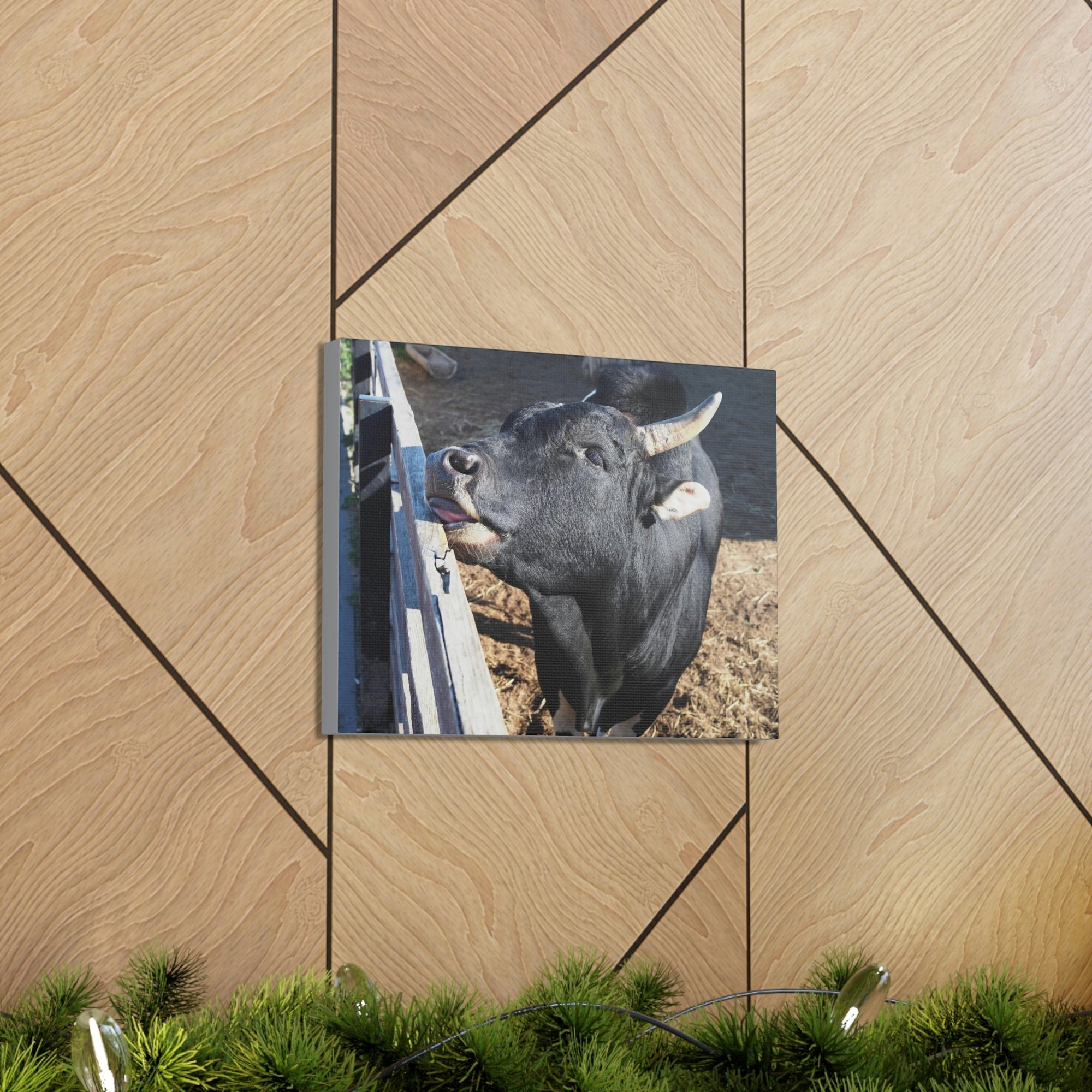 Funny Zebu Silly Zebu Outside Wall Art Ready to Hang Unframed-Express Your Love Gifts