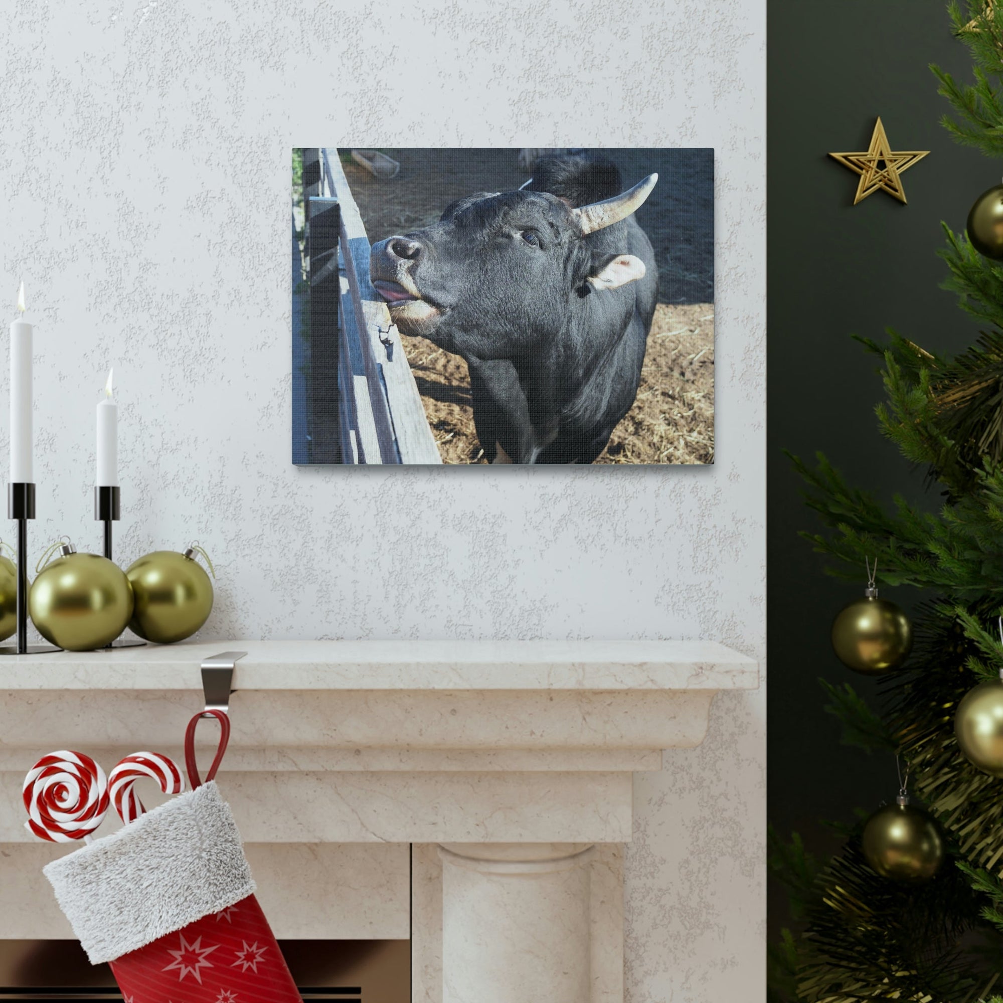 Funny Zebu Silly Zebu Outside Wall Art Ready to Hang Unframed-Express Your Love Gifts