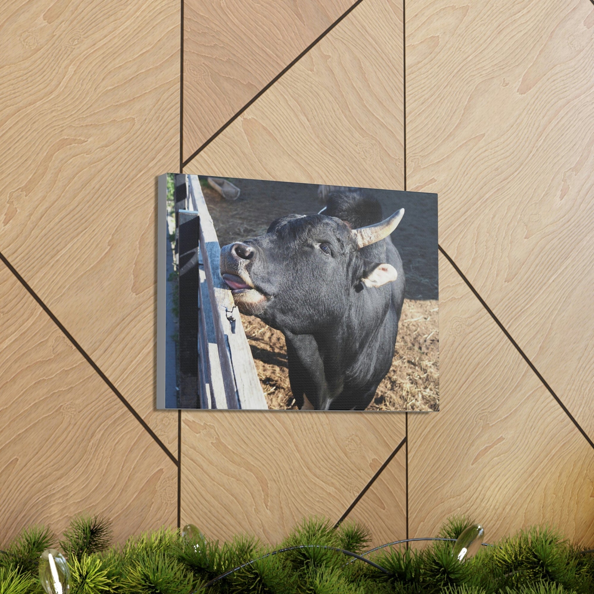 Funny Zebu Silly Zebu Outside Wall Art Ready to Hang Unframed-Express Your Love Gifts