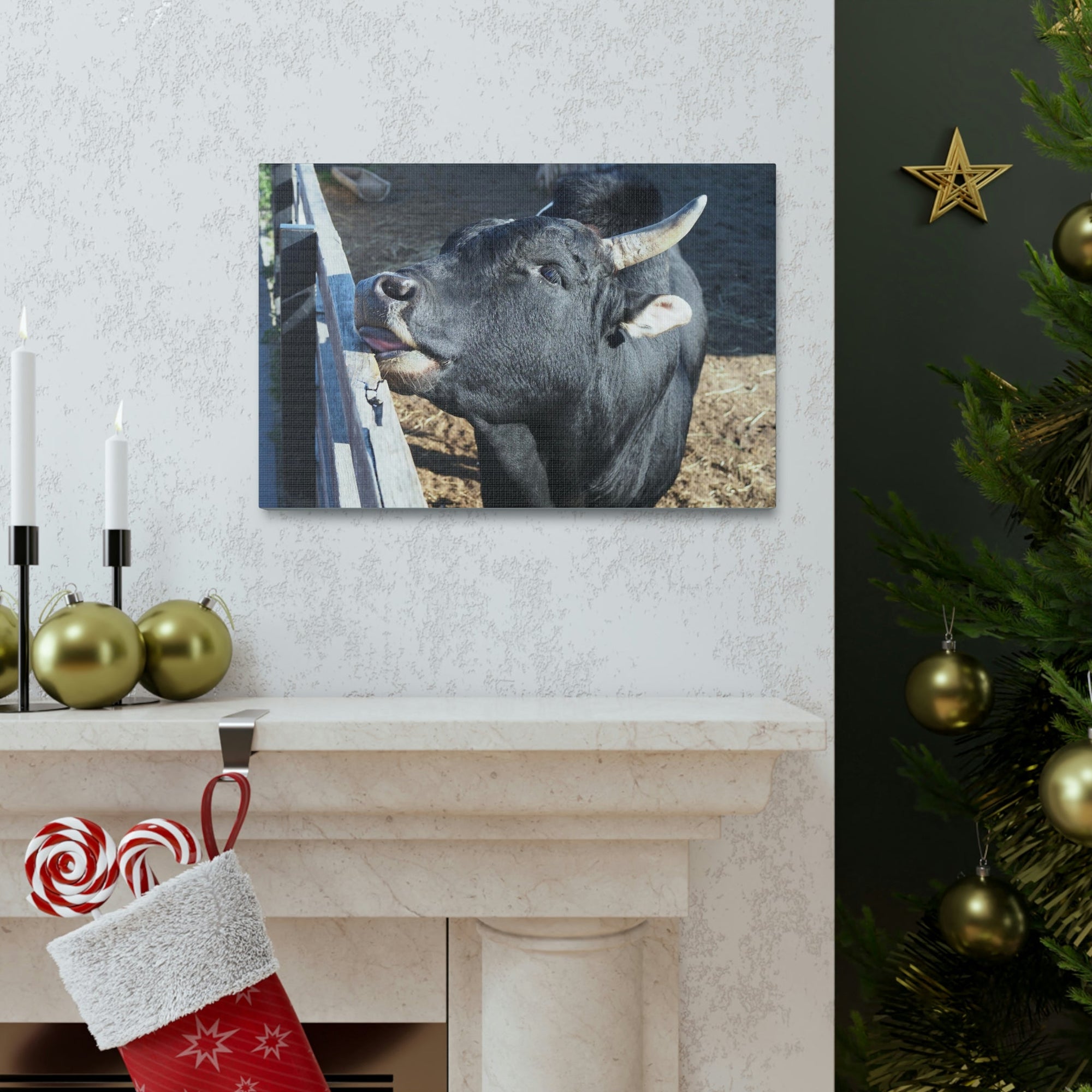 Funny Zebu Silly Zebu Outside Wall Art Ready to Hang Unframed-Express Your Love Gifts