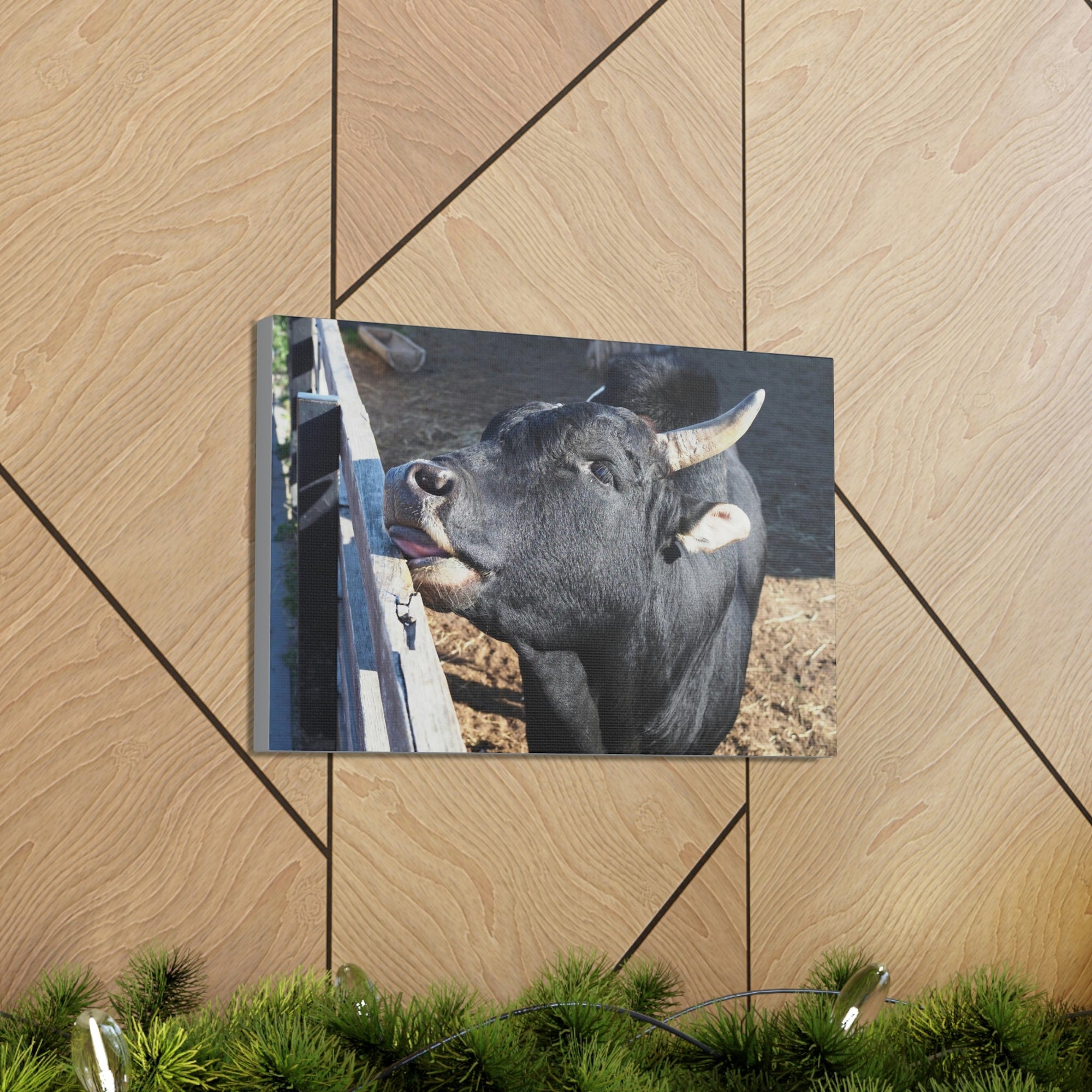 Funny Zebu Silly Zebu Outside Wall Art Ready to Hang Unframed-Express Your Love Gifts