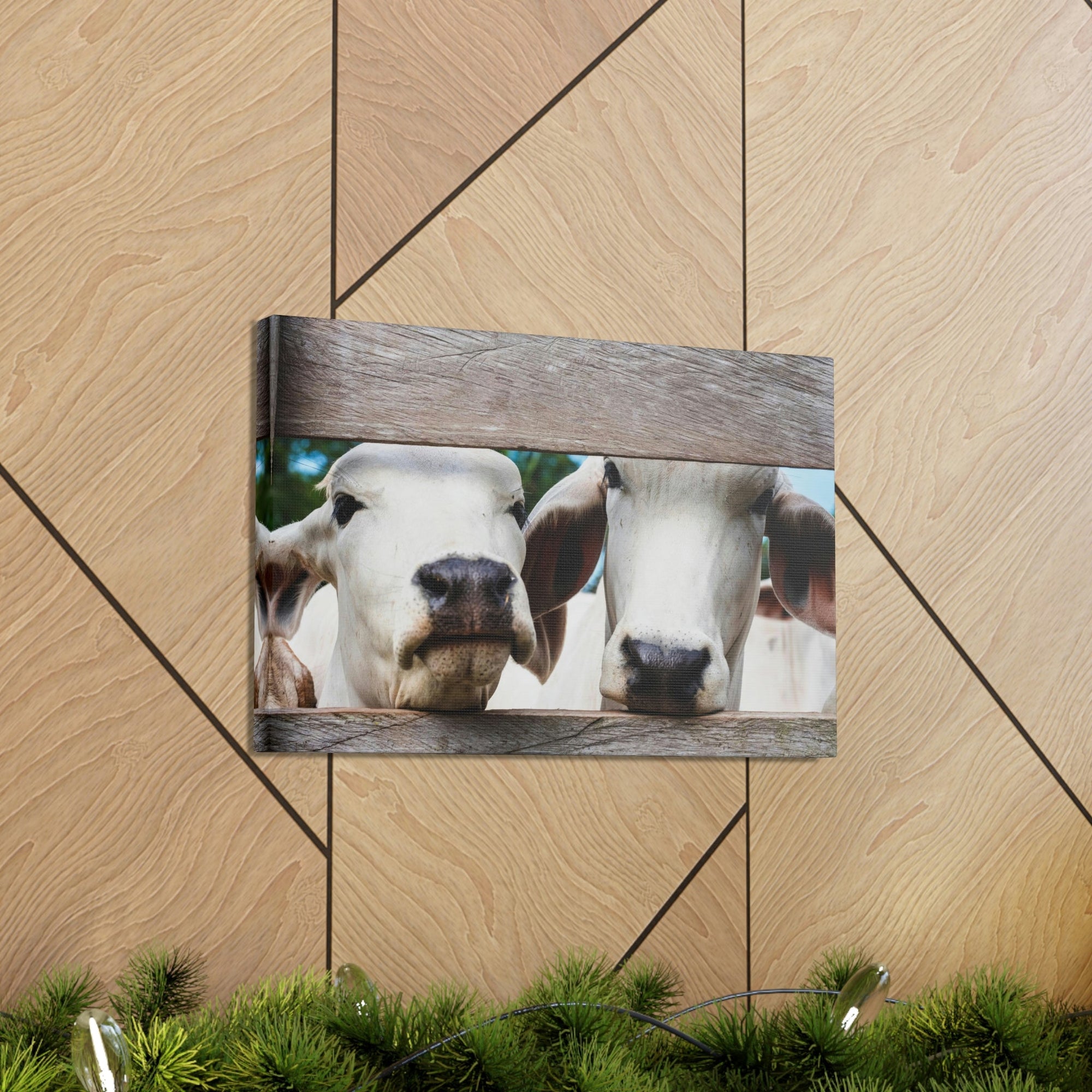 Funny Zebu Silly Zebu Scene Couple Wall Art Ready to Hang Unframed-Express Your Love Gifts