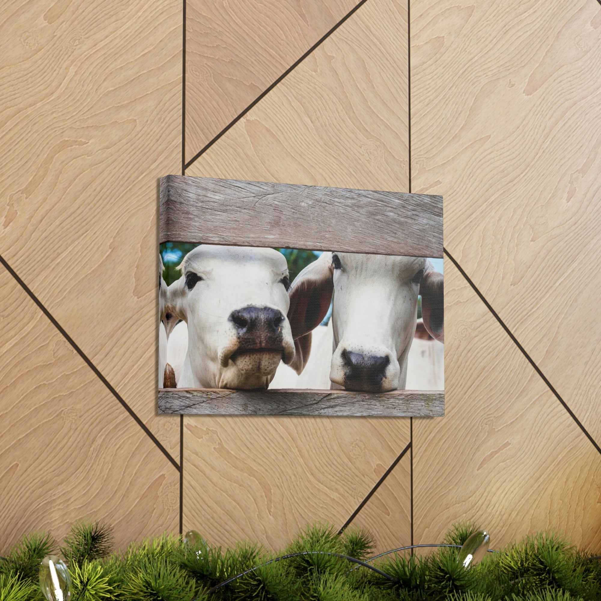 Funny Zebu Silly Zebu Scene Couple Wall Art Ready to Hang Unframed-Express Your Love Gifts