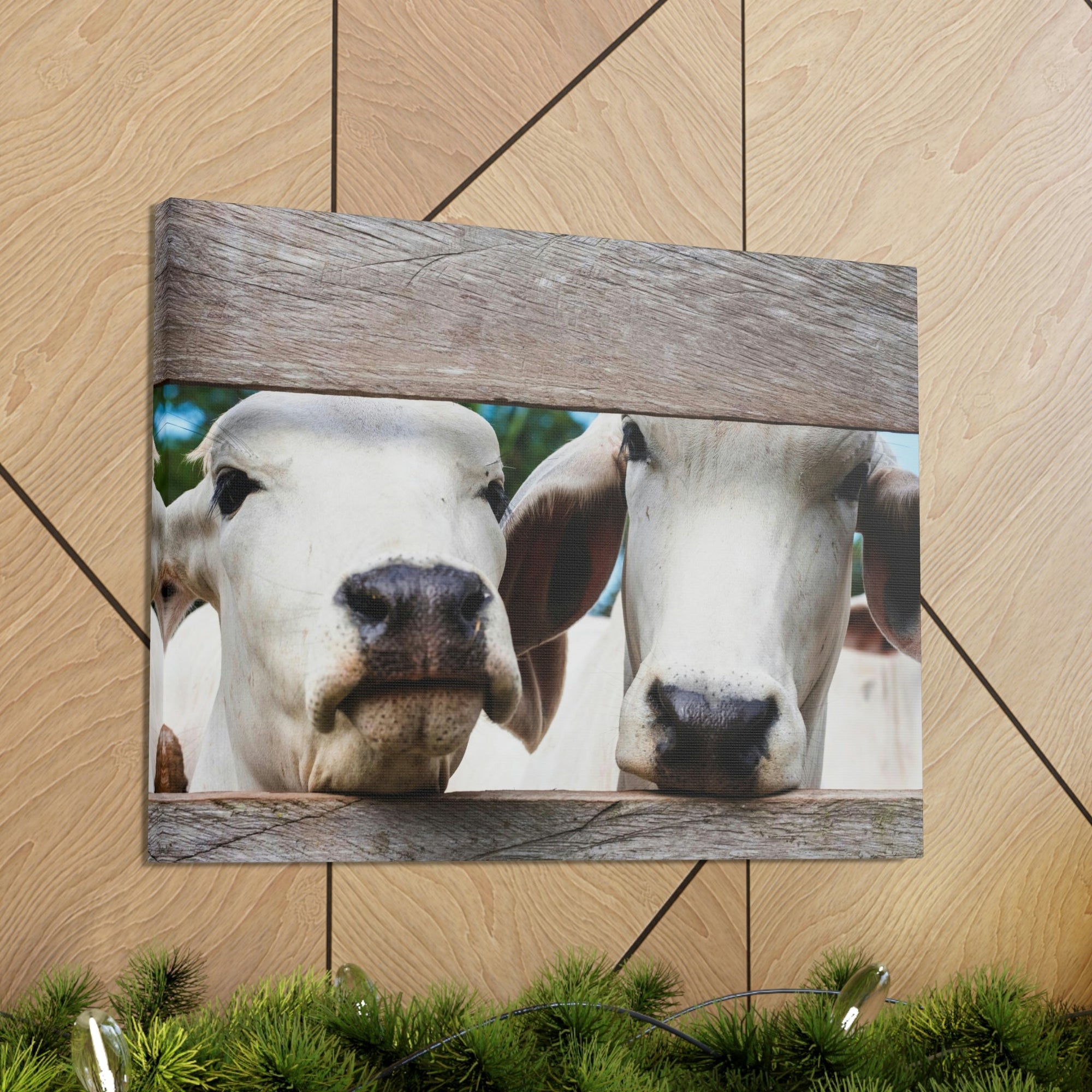 Funny Zebu Silly Zebu Scene Couple Wall Art Ready to Hang Unframed-Express Your Love Gifts