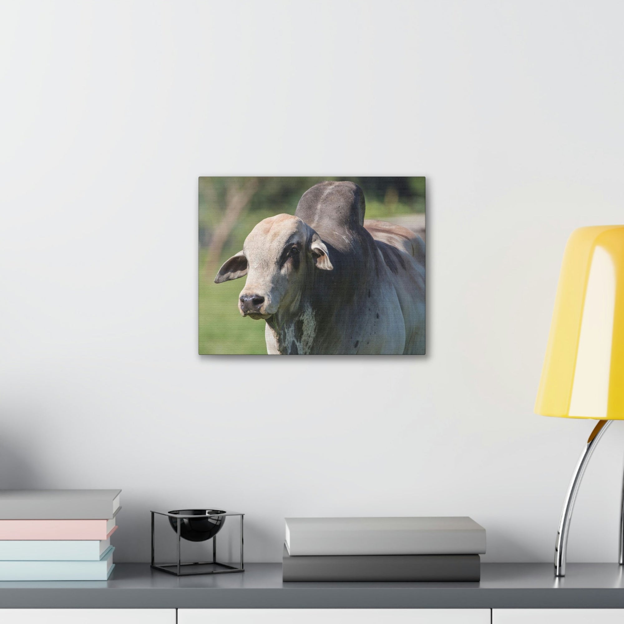 Funny Zebu Silly Zebu Scene Outside Wall Art Ready to Hang Unframed-Express Your Love Gifts