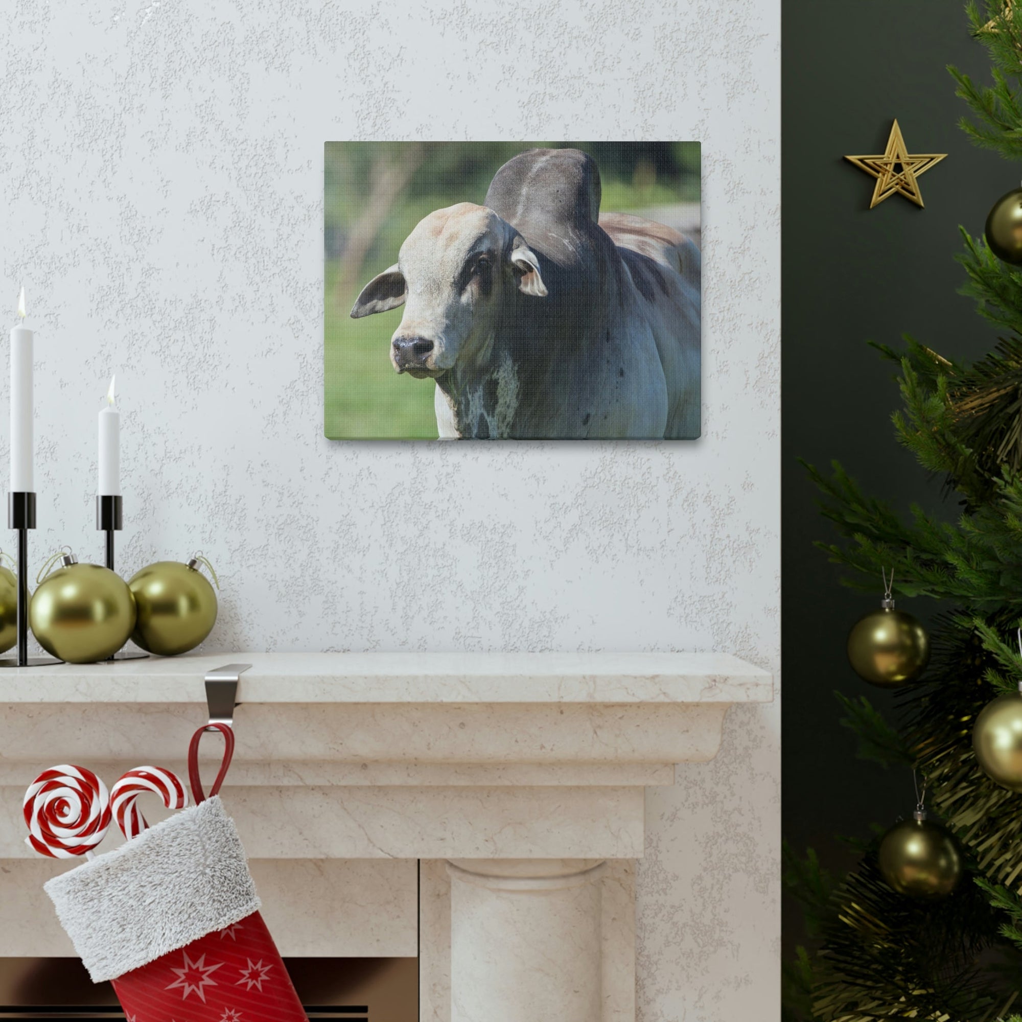 Funny Zebu Silly Zebu Scene Outside Wall Art Ready to Hang Unframed-Express Your Love Gifts