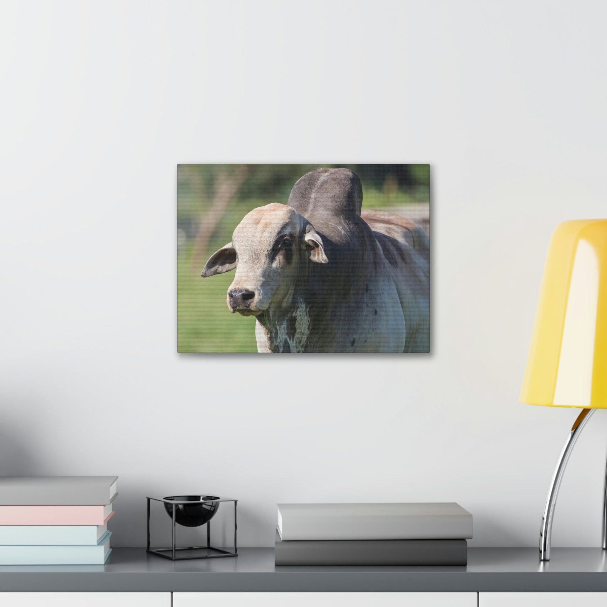 Funny Zebu Silly Zebu Scene Outside Wall Art Ready to Hang Unframed-Express Your Love Gifts