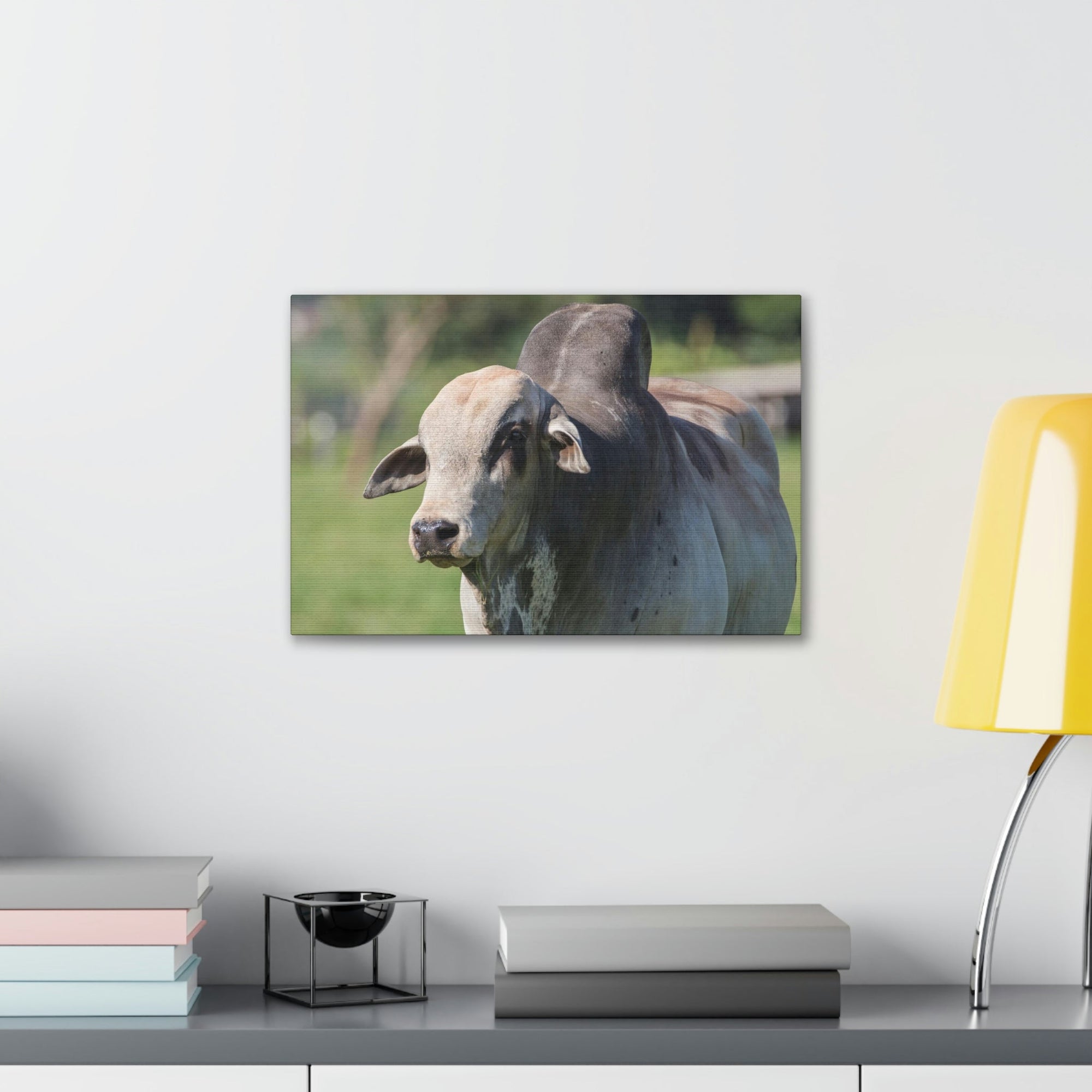 Funny Zebu Silly Zebu Scene Outside Wall Art Ready to Hang Unframed-Express Your Love Gifts